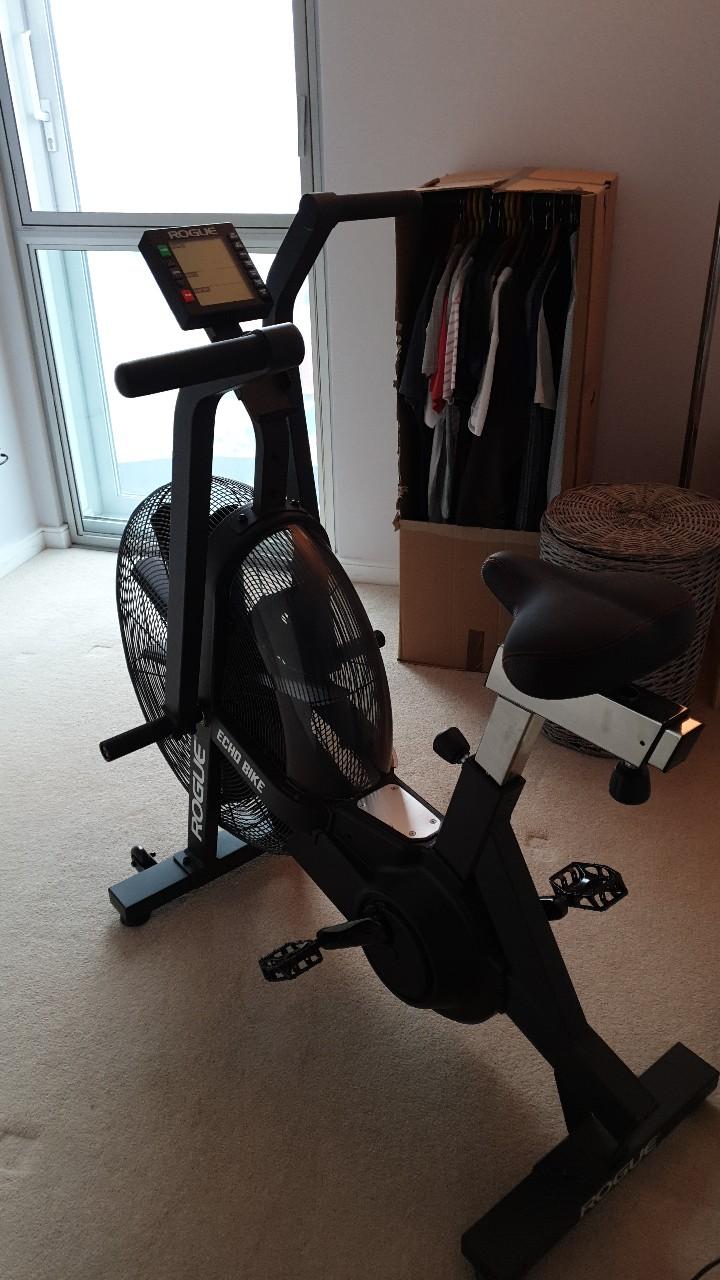 Rogue Fitness Echo Bike in SE16 London for £600.00 for sale Shpock