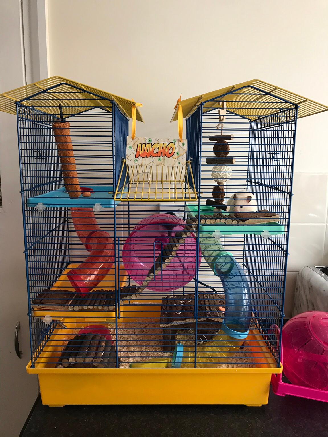 4 Storey Hamster Cage in N17 London for £25.00 for sale Shpock