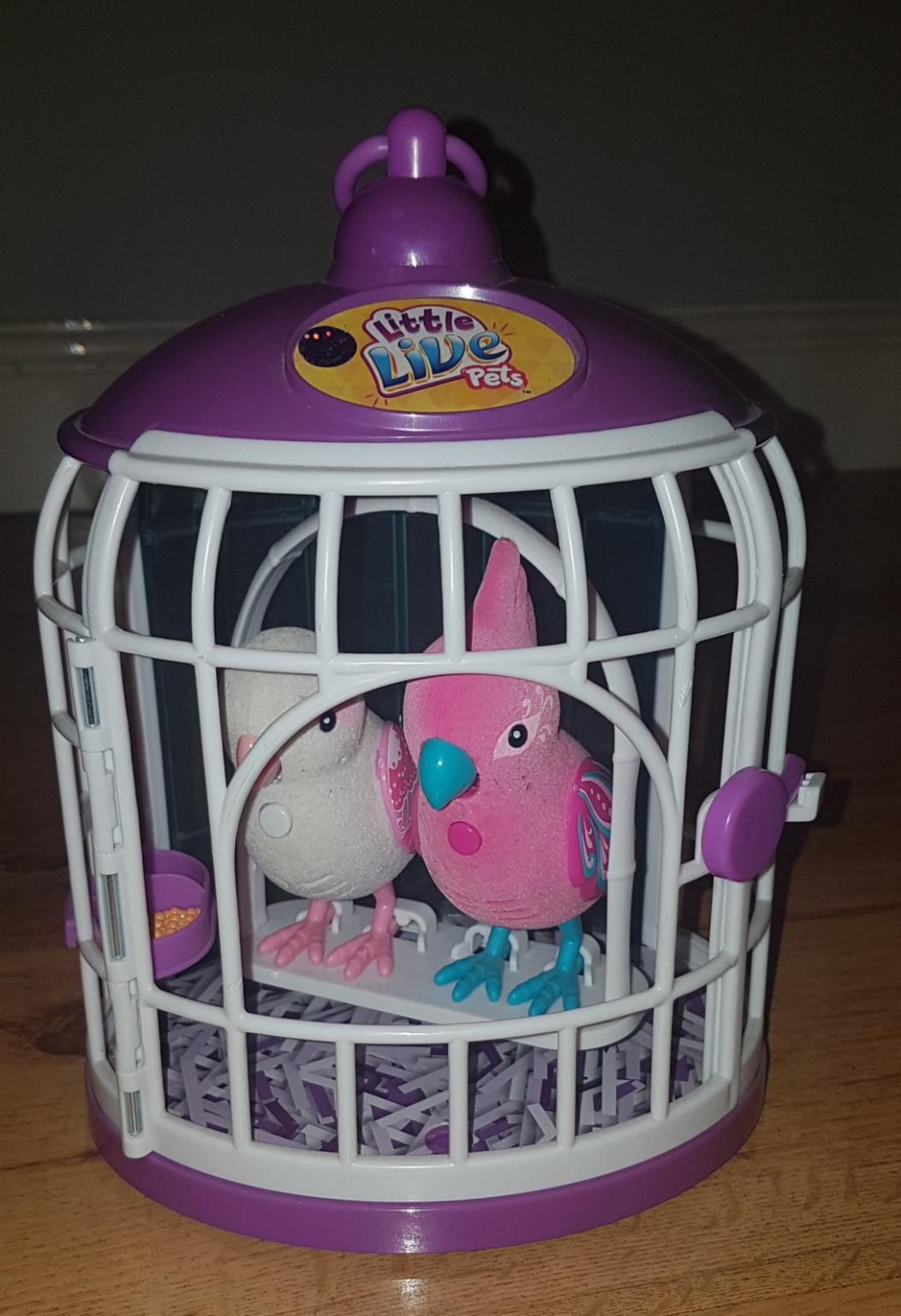 Little Live Pets bird cage + 2 birds in M22 Manchester for £5.00 for
