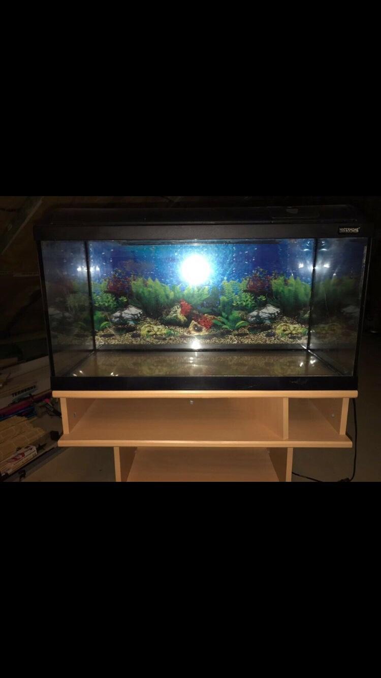 Aquarium mit Unterschrank Buche 120 Liter in 56761 Kaifenheim für 120