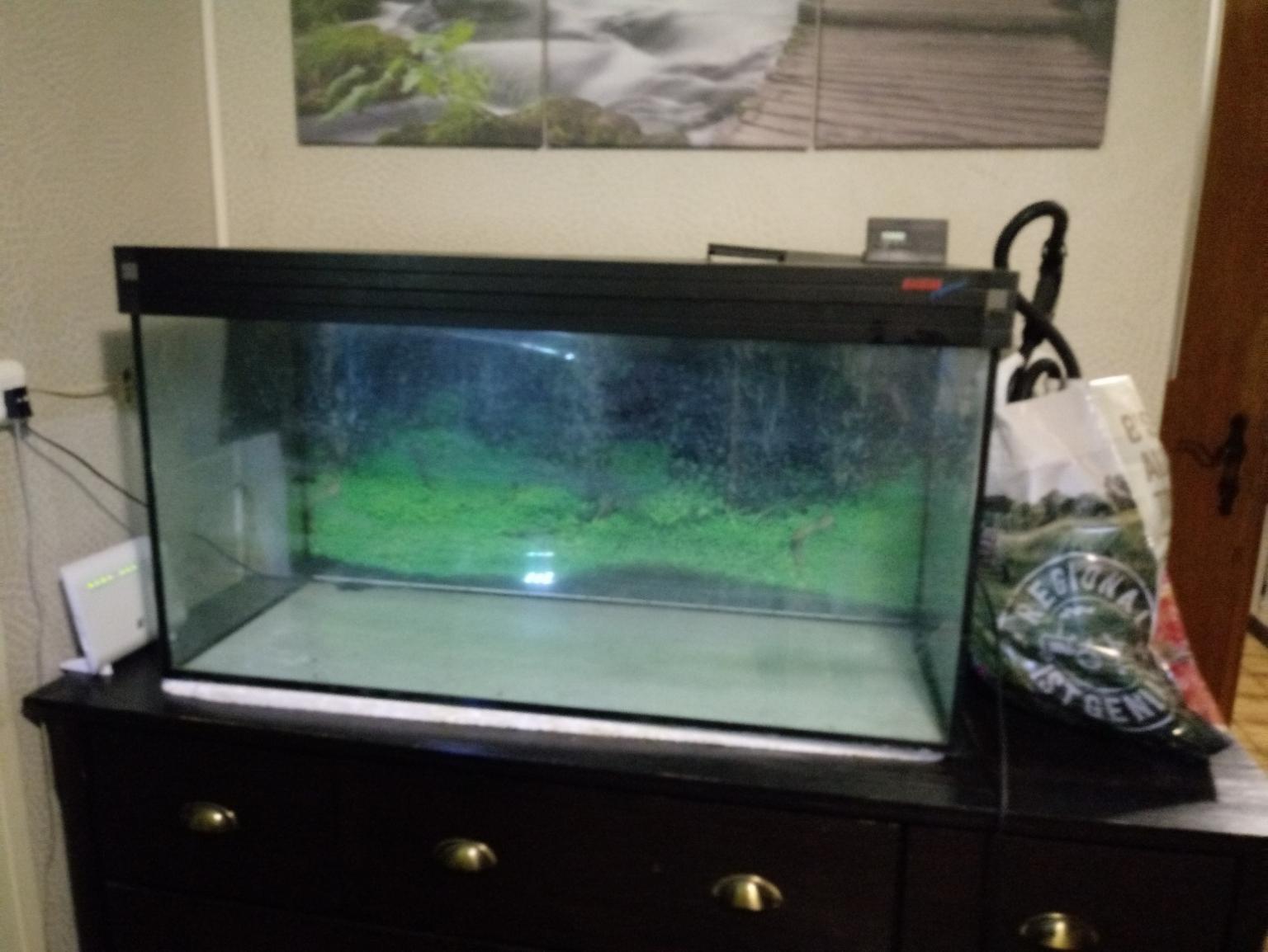Aquarium 200 l von Eheim in 6923 Lauterach for 20,00 € for