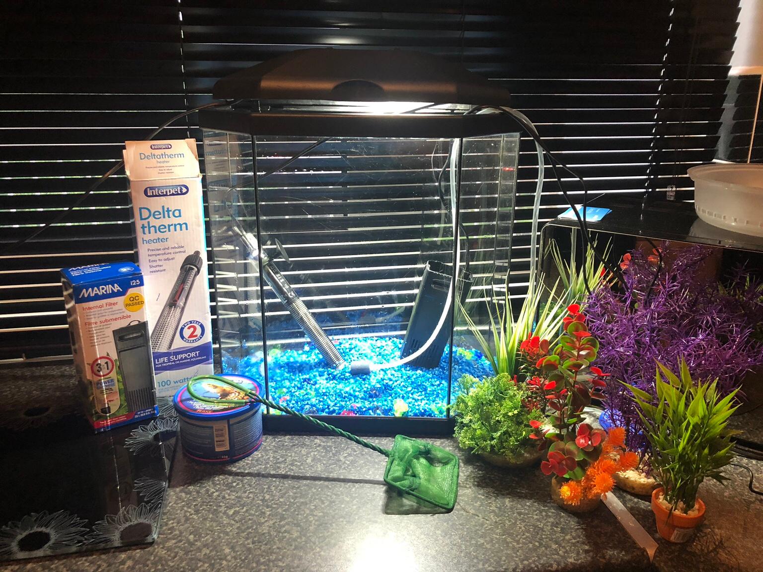 Fish tank set up tropical/cold water in Sheffield for £18.00 for sale