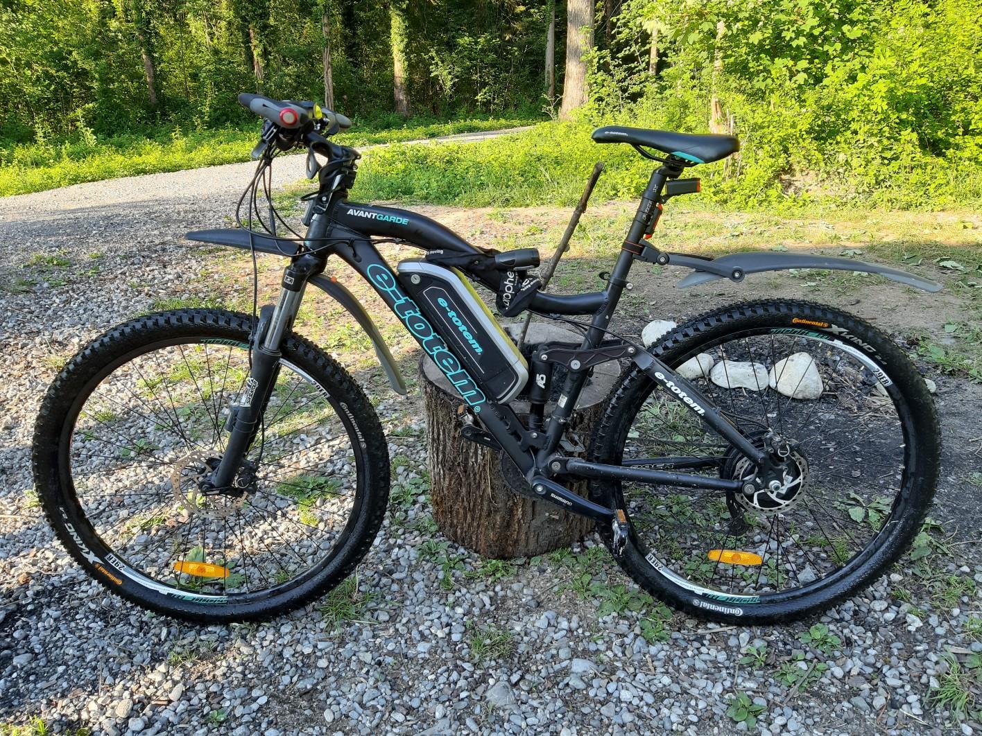E Bike Totem MTB 29 Zoll in 9463 Oberriet for €900.00 for sale Shpock