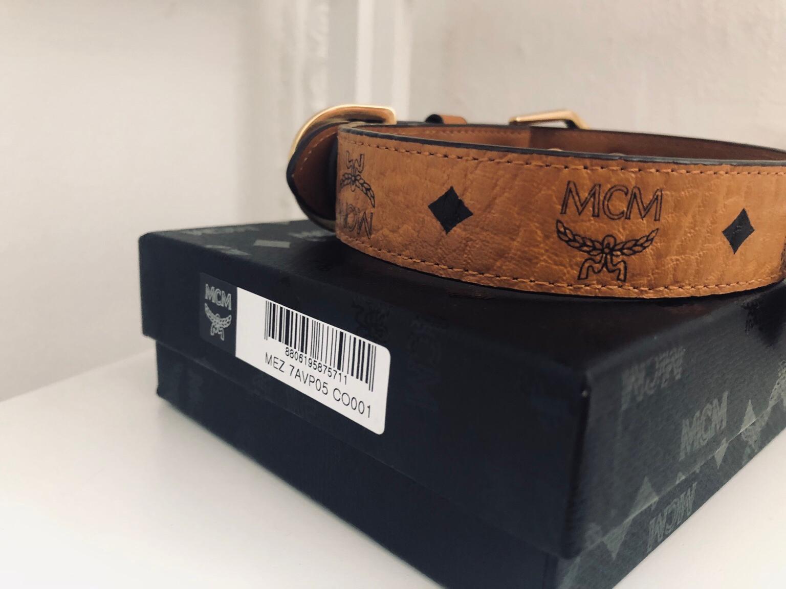 MCM Hundehalsband in 90402 Nürnberg für 120,00 € zum Verkauf Shpock DE