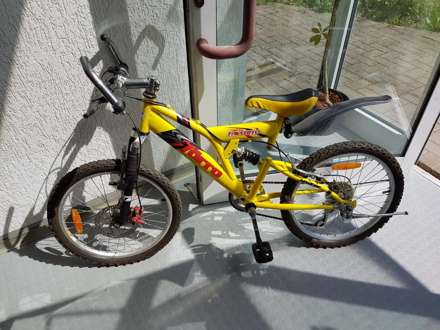Torro Favorito Mountainbike Fahrrad 20 Zoll in 37327 LeinefeldeWorbis für 100,00 € zum Verkauf
