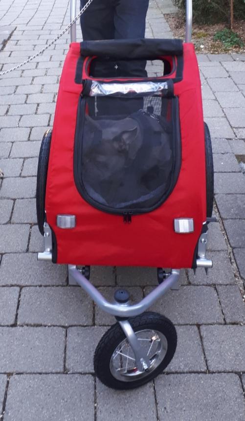 Fahrradanhänger für Hunde in 71638 Ludwigsburg für 99,00 € zum Verkauf Shpock DE