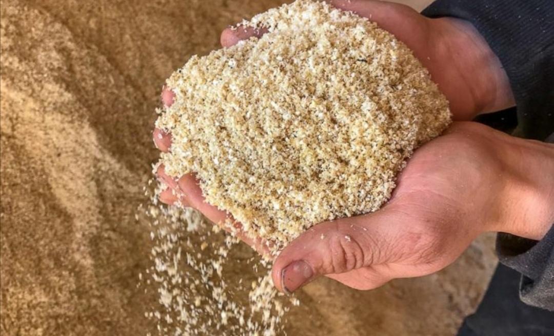 sägespäne in 5621 Sankt Veit im Pongau für € 10,00 zum