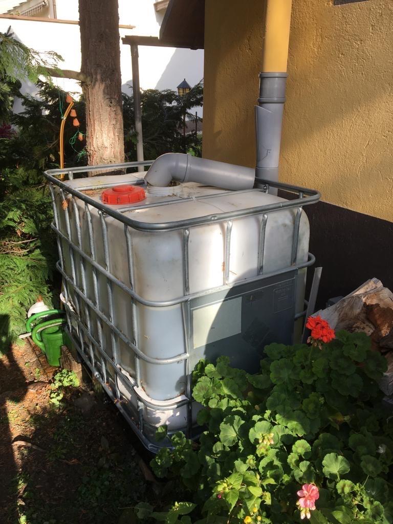 Regenfass 1000 Liter IBCContainer in 60549 Frankfurt am Main für 75,00