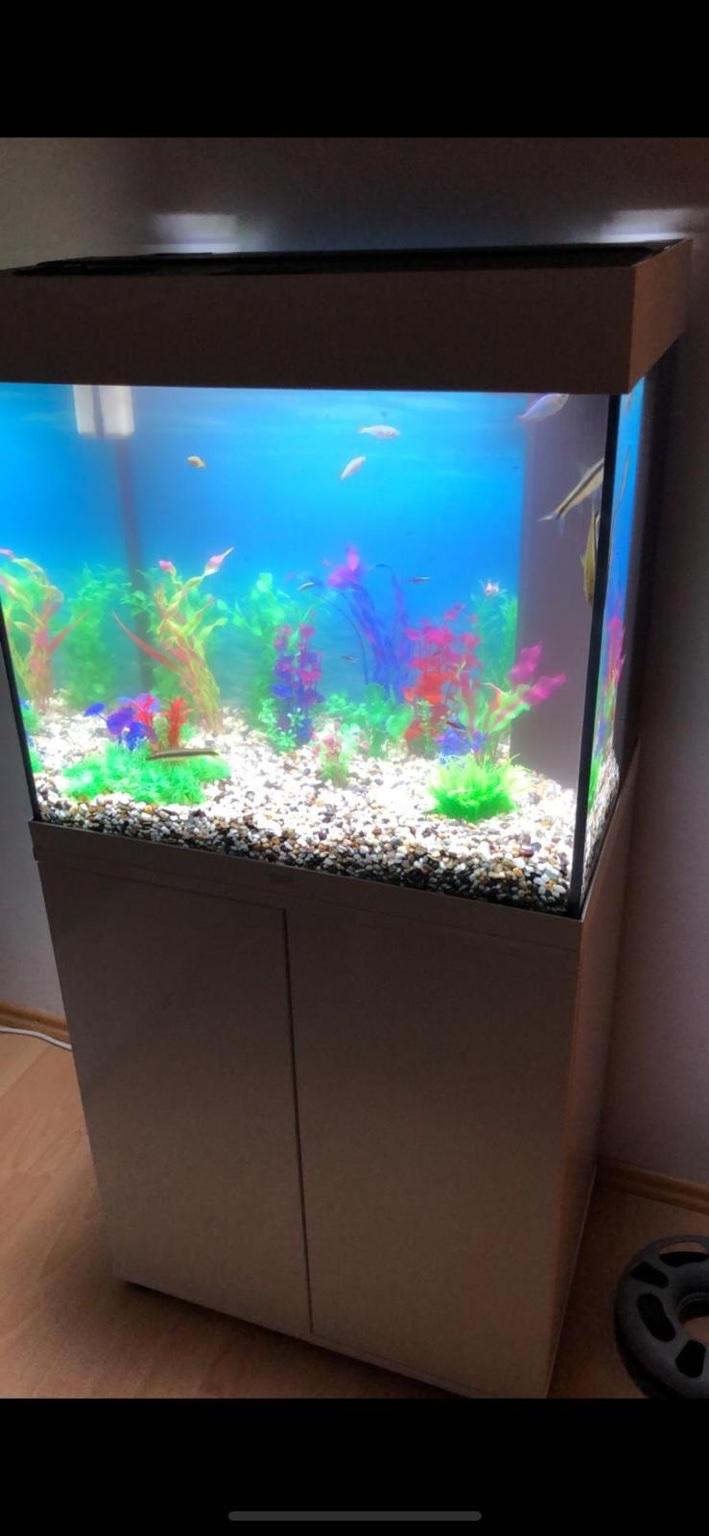 Aquarium Juwel in 4810 Gmunden für € 200,00 zum Verkauf