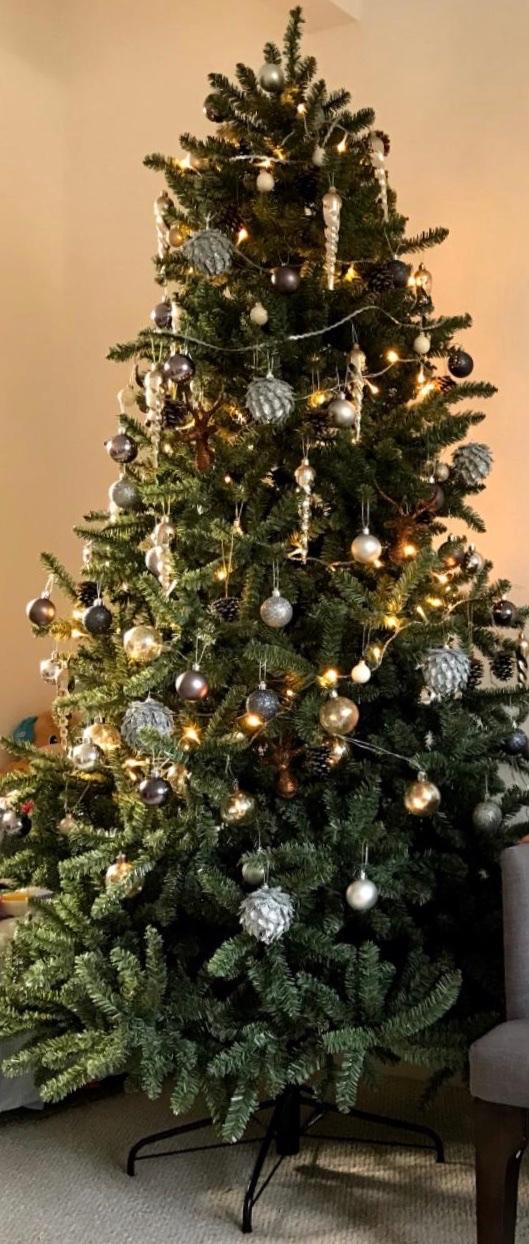 Christmas Tree Canadian Blue Green Spruce in N10