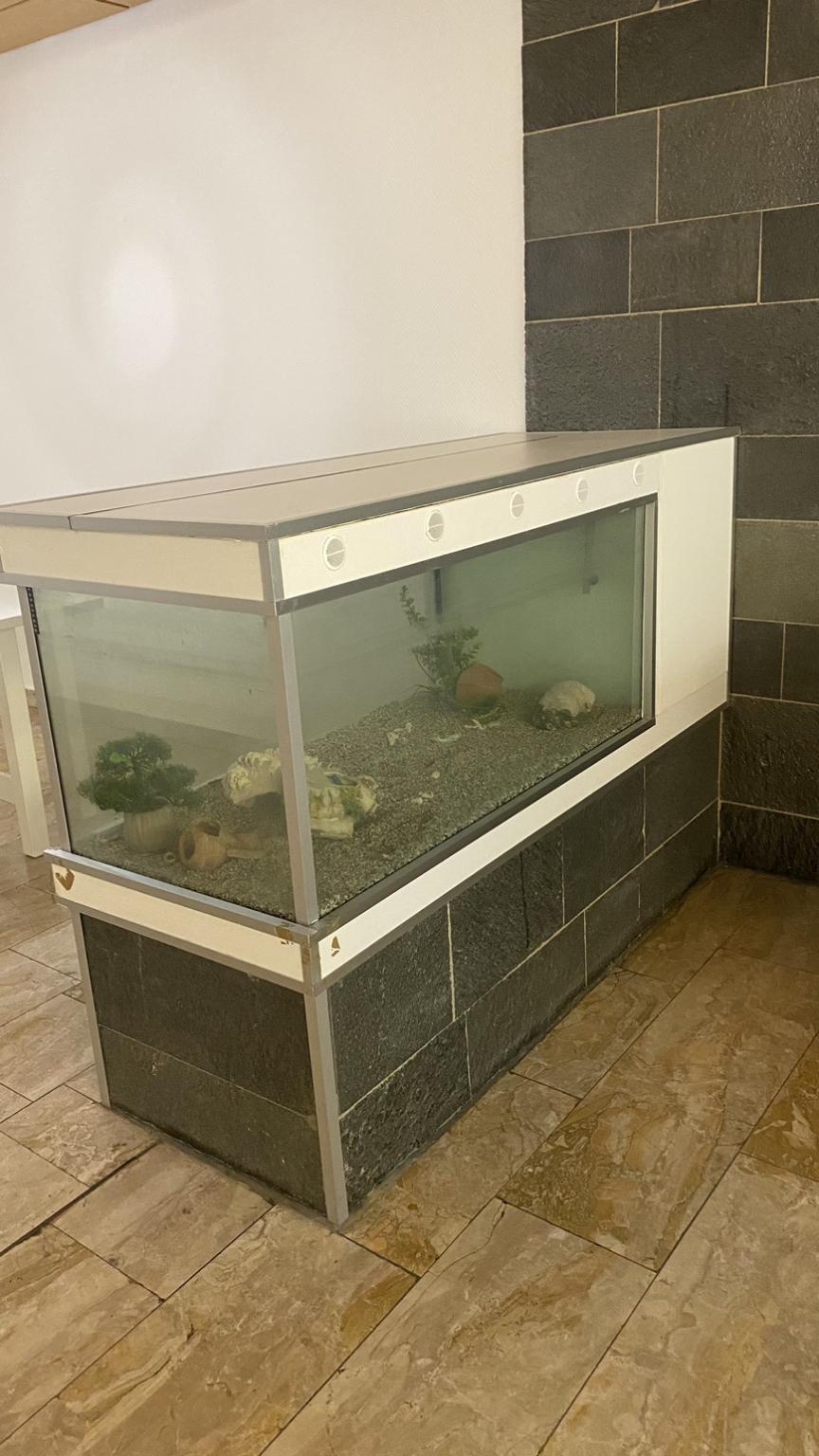 Aquarium in 67551 Worms für 200,00 € zum Verkauf Shpock DE