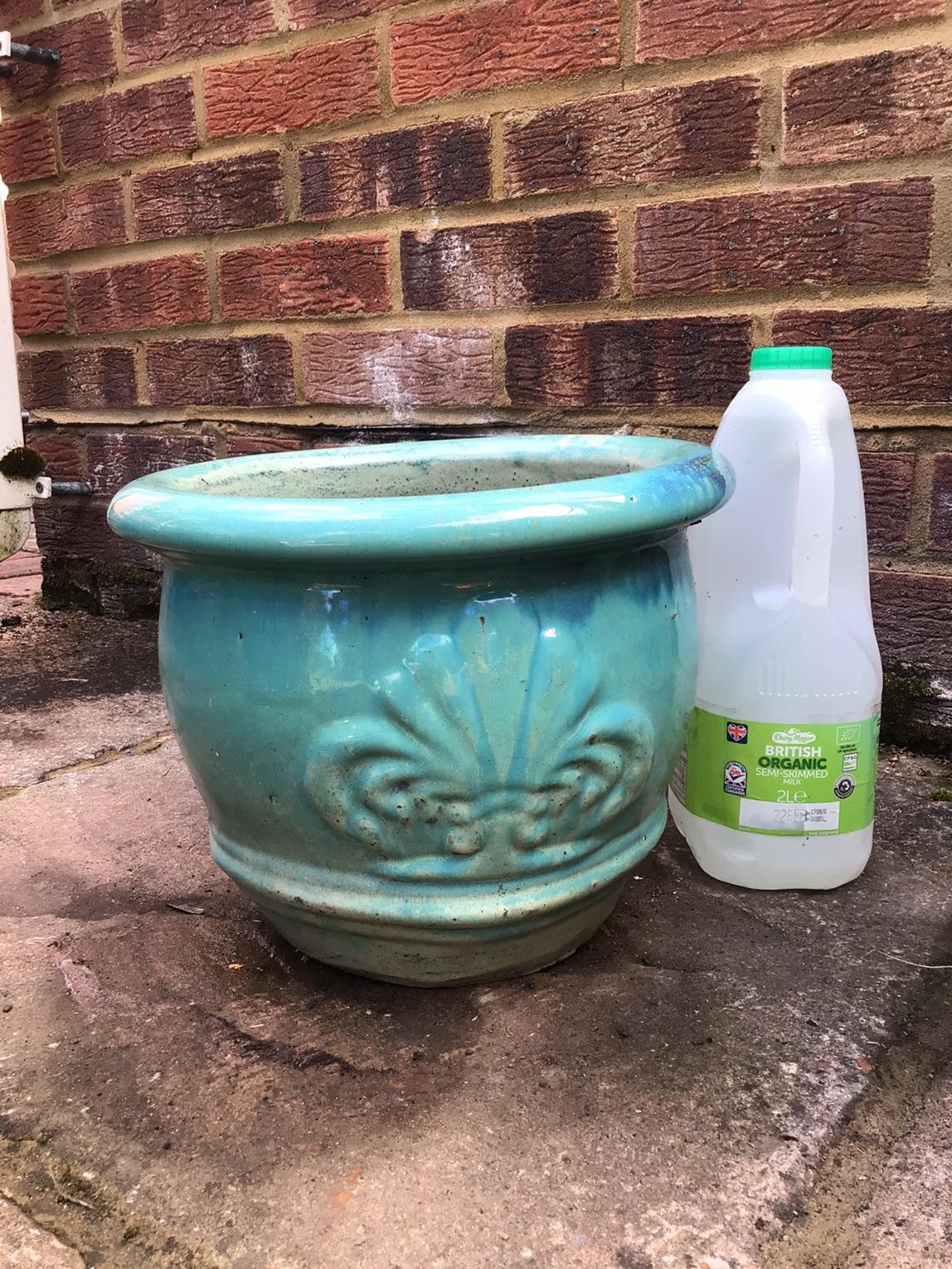 Garden Plant Pot Planter in EN3 London for £25.00 for sale Shpock