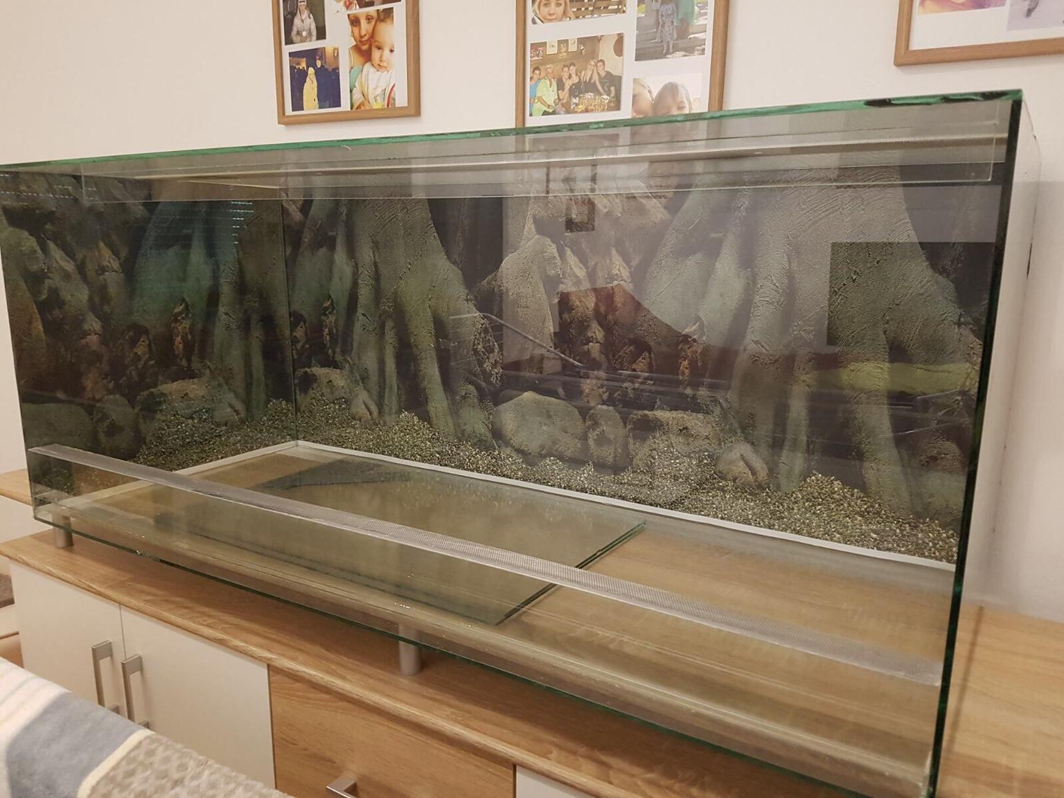 Terrarium 120x50x50 in 7344 Stoob für 50,00 € zum Verkauf