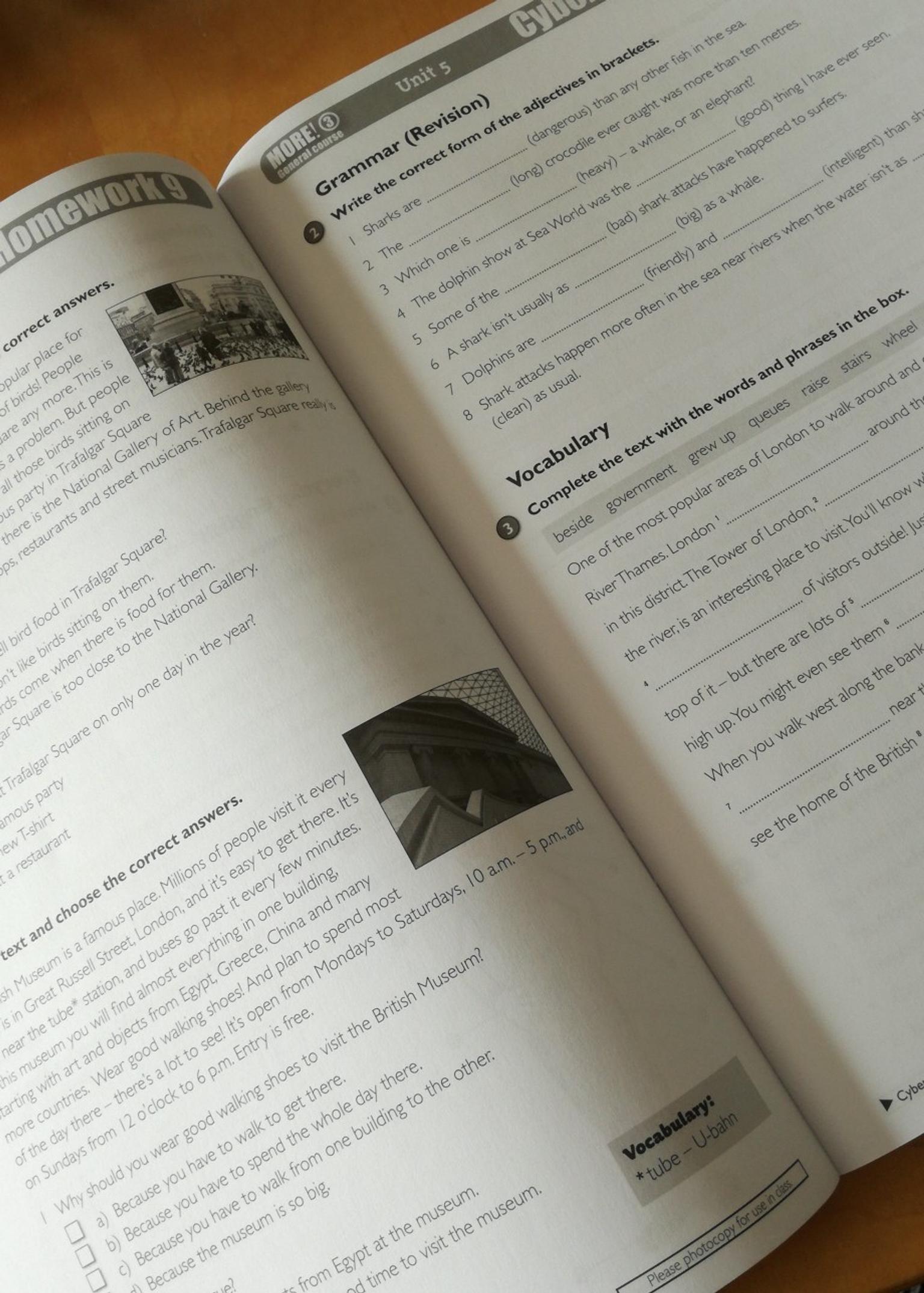 MORE! 3 Cyber Homework, Lösungen+Kopiervorl. in 6842 Neuburg für € 10,00 zum Verkauf Shpock AT