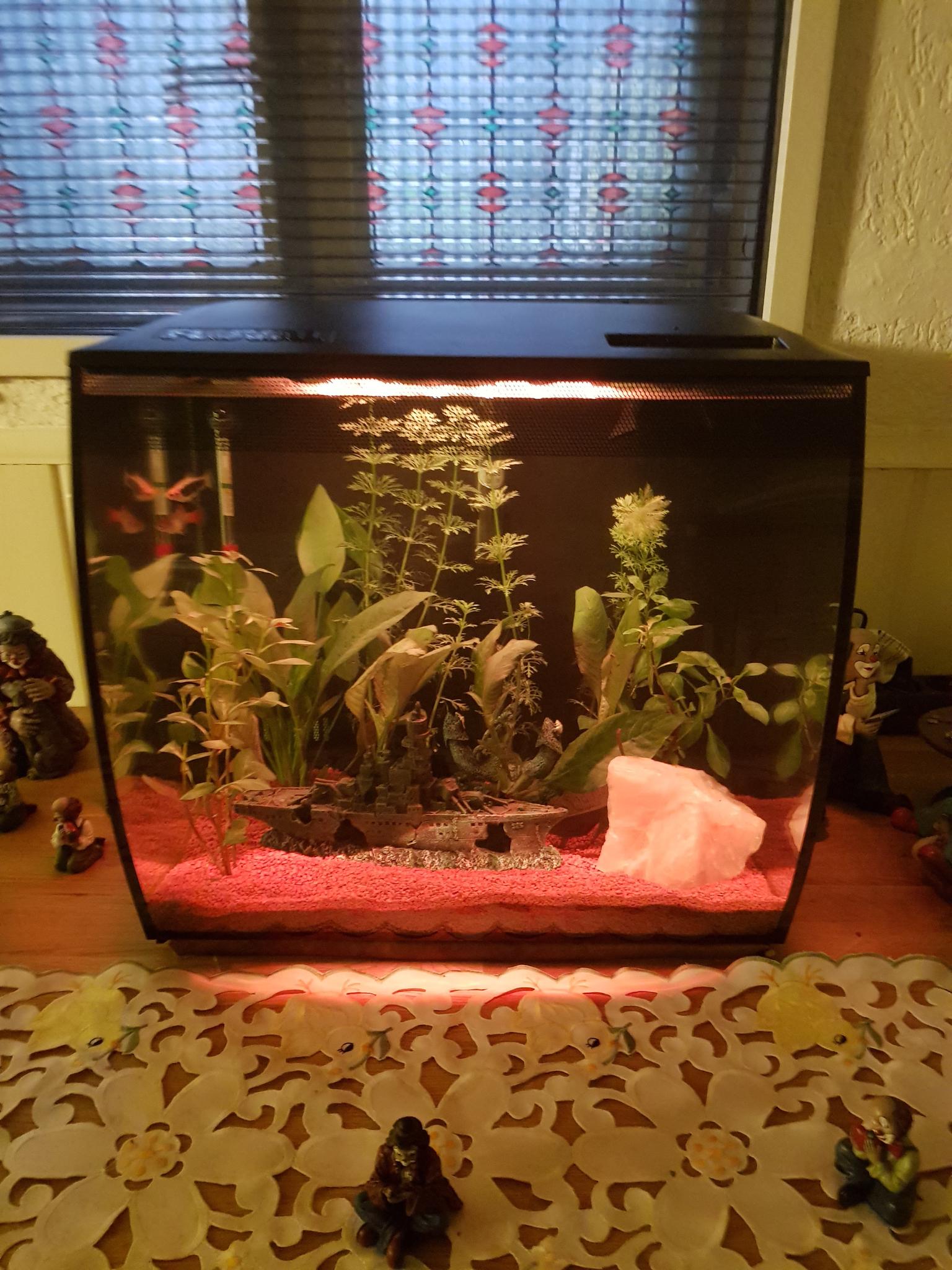 Aquarium Set Fluval 15004 Flex Nano in 45711 Datteln for €