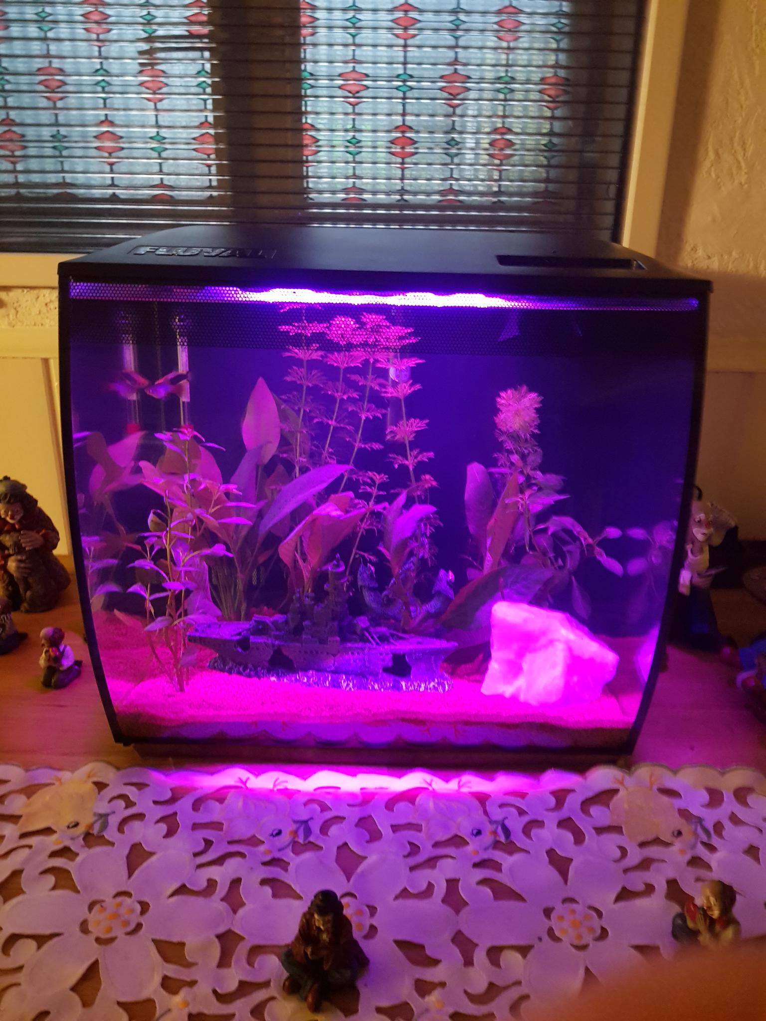 Aquarium Set Fluval 15004 Flex Nano in 45711 Datteln for €
