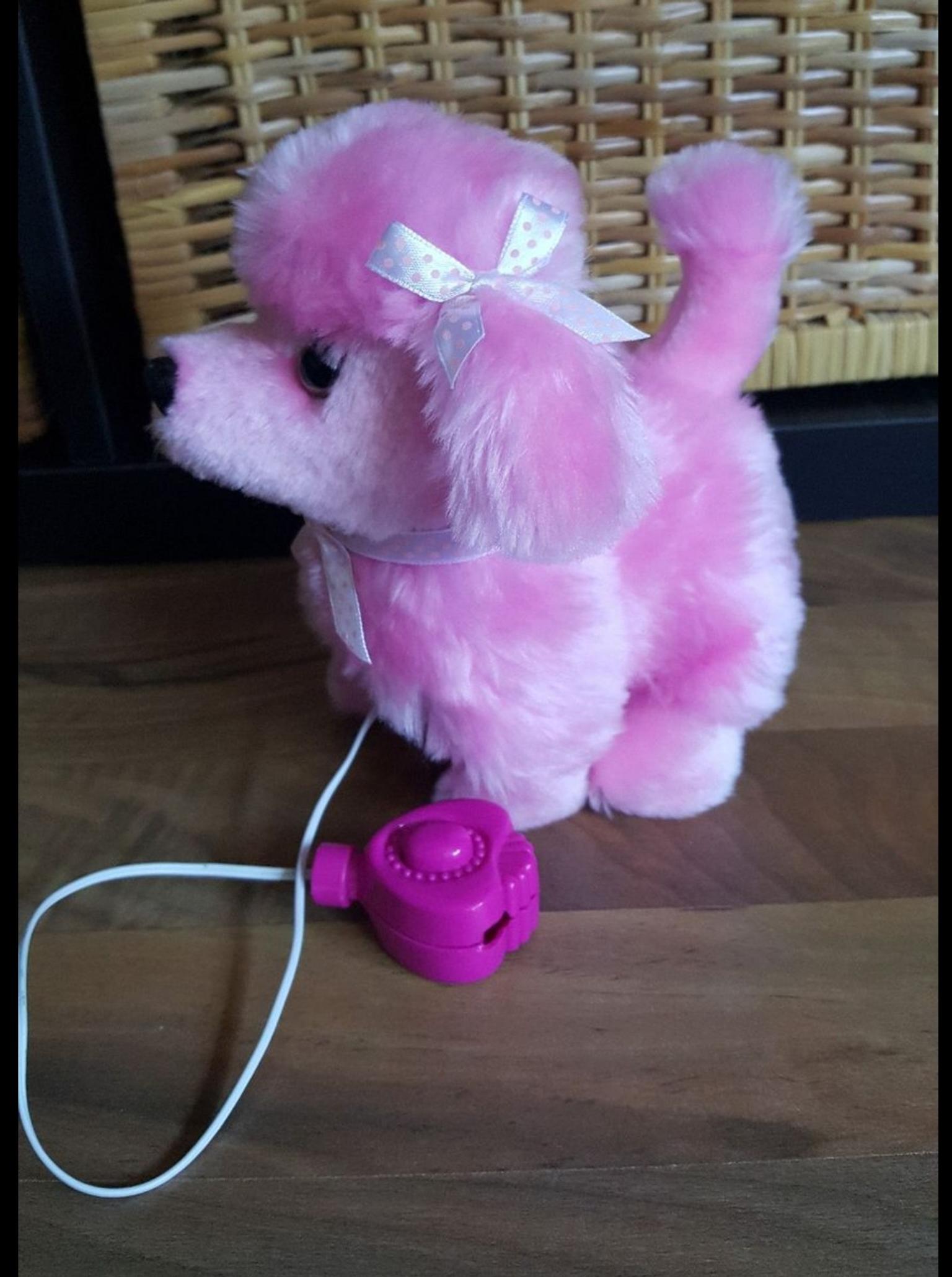 Hund mit Funktion Simba in 57581 Katzwinkel (Sieg) for €12.00 for sale