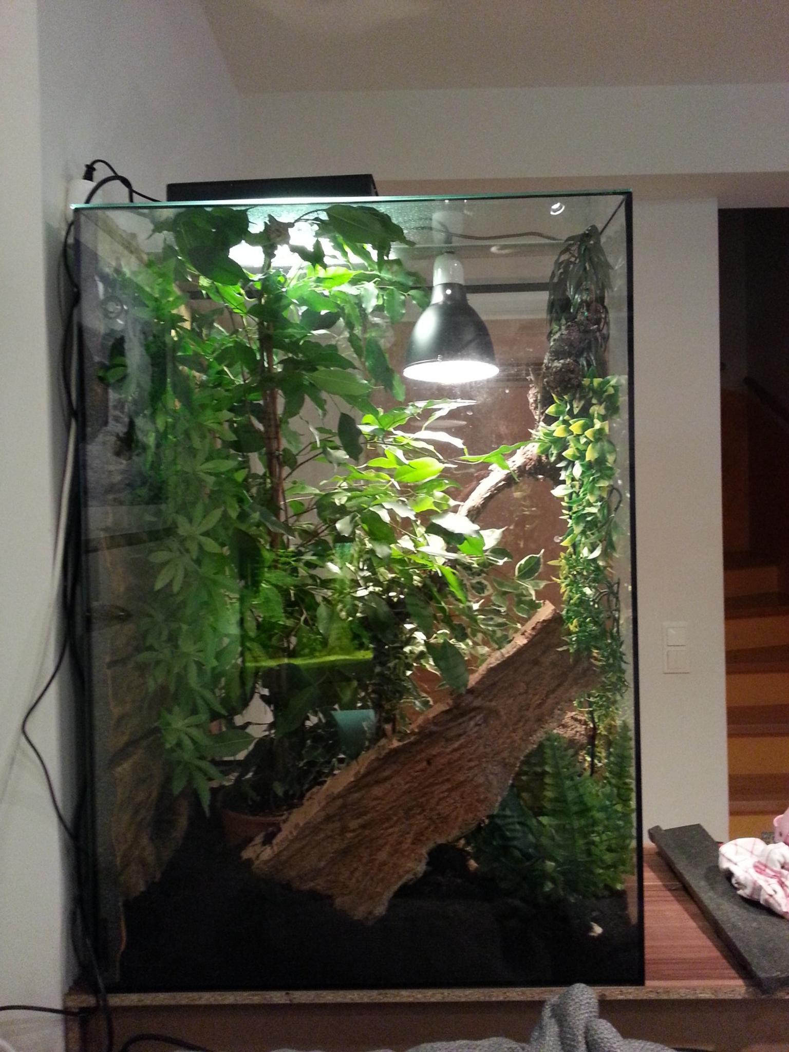 Großes neuwertiges Terrarium mit viel Zubehör in 2104