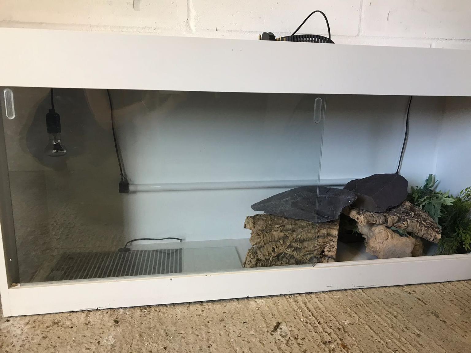 White grain dragon / lizard vavirum hat in CO14Naze