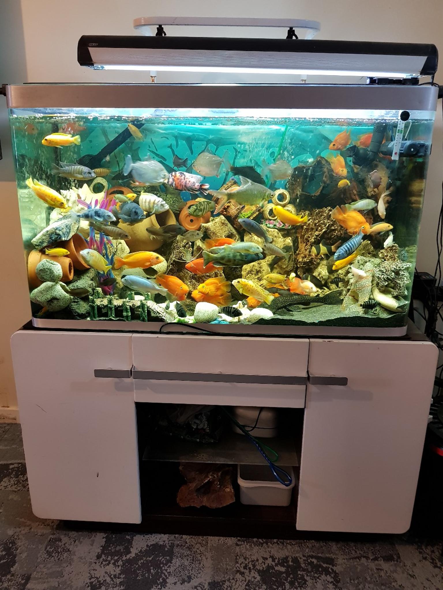 Fluval Osaka Fish Tank 320 liters aquarium in E13 Newham