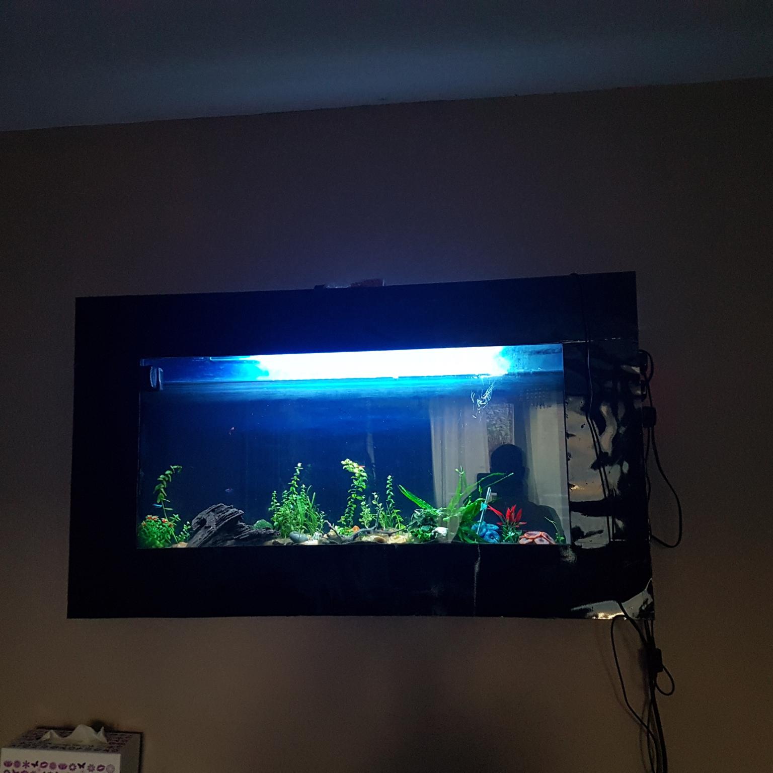 fish tank wall aquarium in N19 Islington for £85.00 for