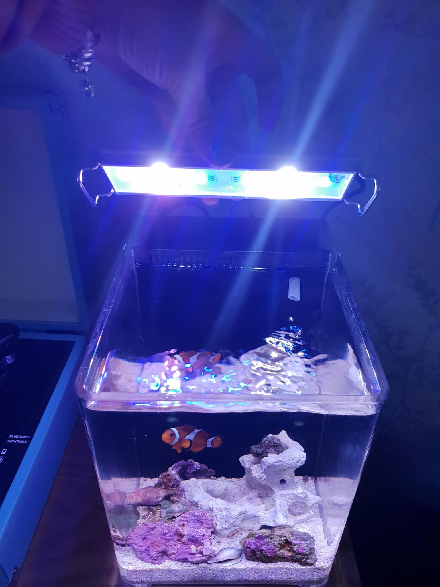 Stunning DYMAX IQ3 acrylic aquarium in Norton Green for £