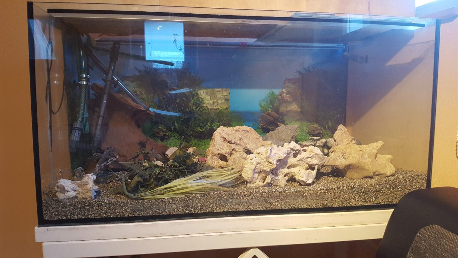 Aquarium in 6773 Vandans for €180.00 for sale Shpock