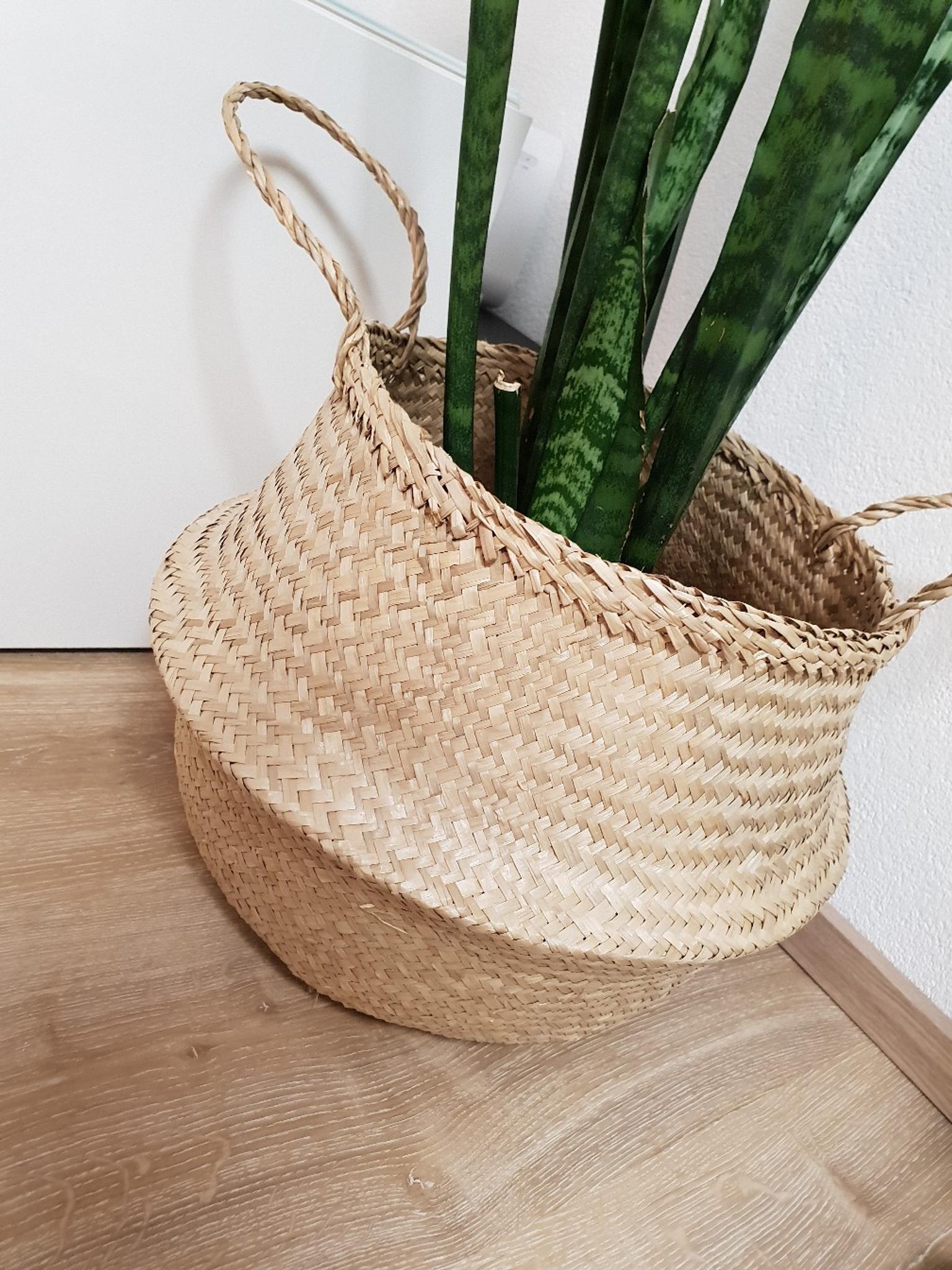 BLUMENTOPF/SEEGRASKORB/KORB/DEKO/HOME☆☆ in 6170 Zirl for €25.00 for