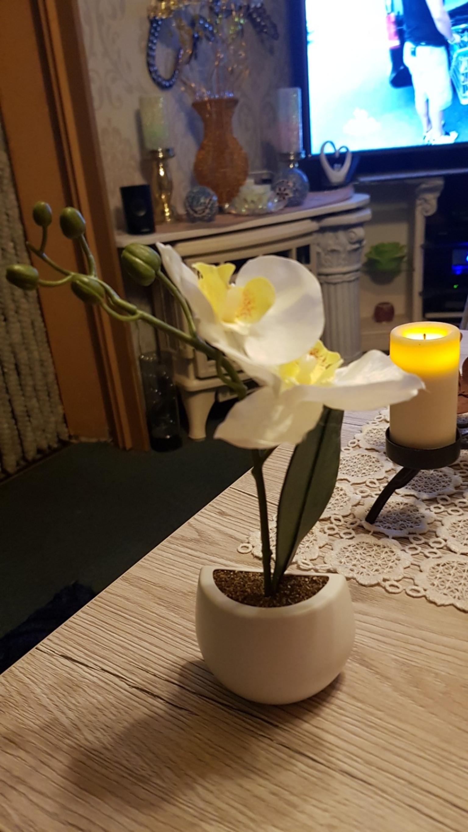 Qvc Künstliche Blumen Über Blumen