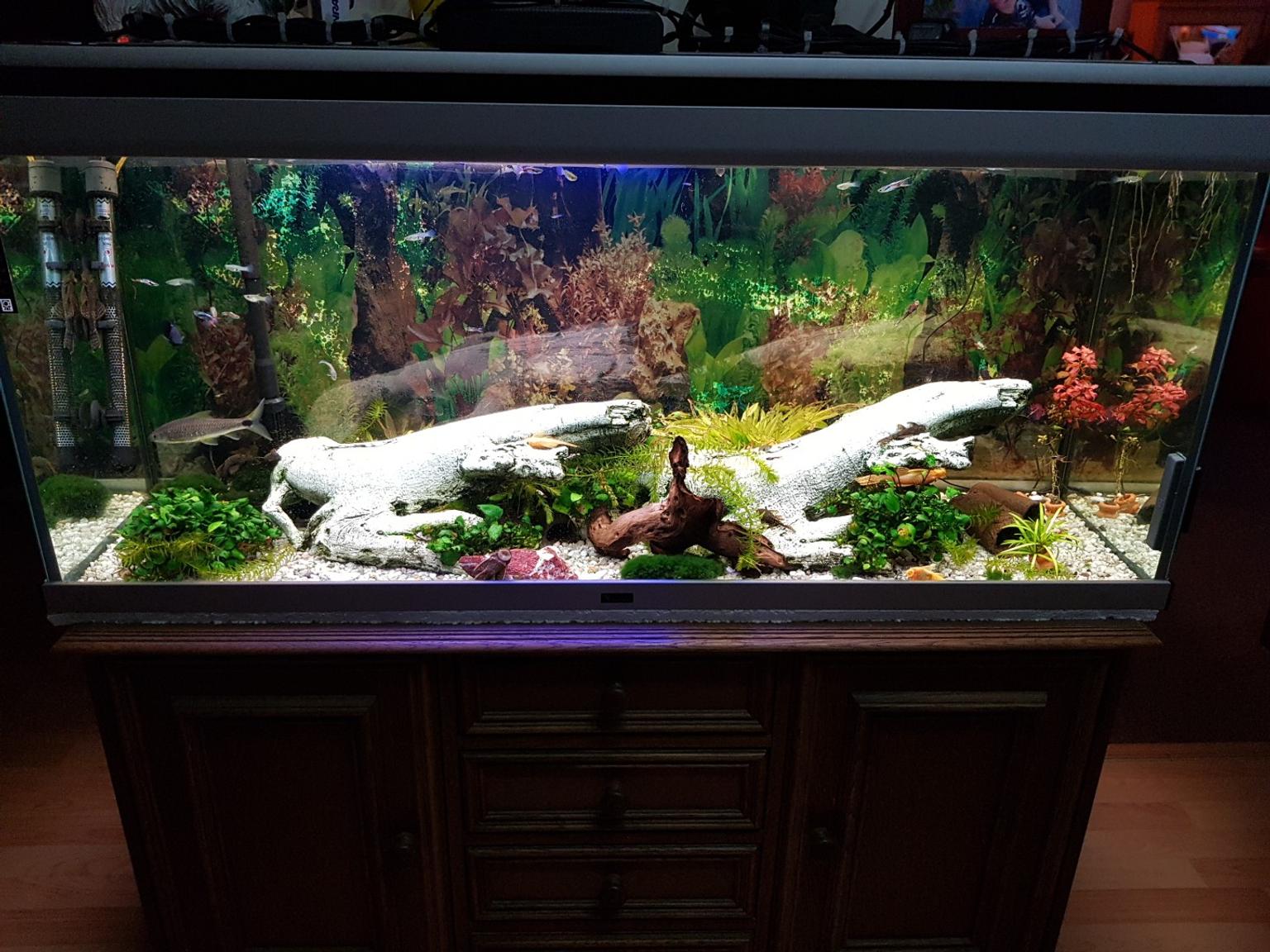 Aquarium 118cm Lang 55cm Hoch 38 5cm Breit M In 09113 Chemnitz Fur