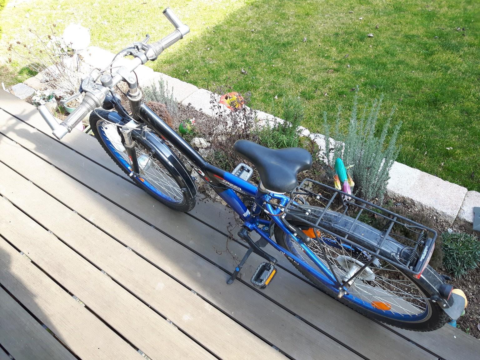 Fahrrad 24 Zoll Jungen Mit Gepacktrager Tierische Tapete