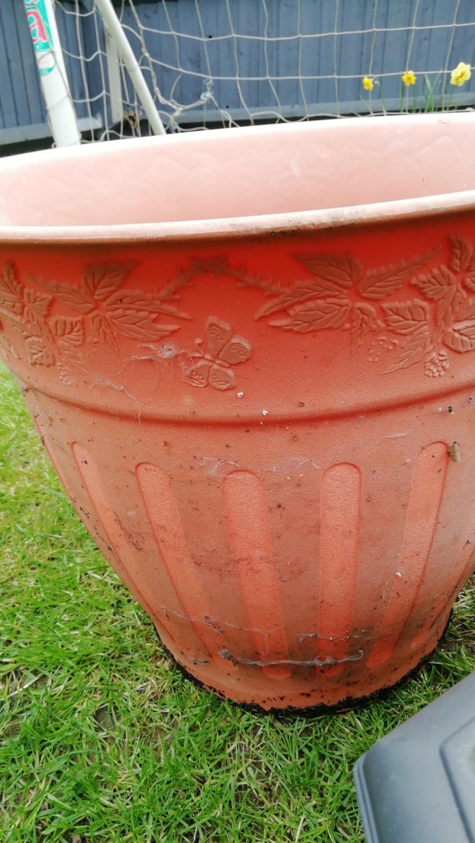 2 very large Plant Pots used in CV22 Rugby for Â£10.00 for sale Shpock