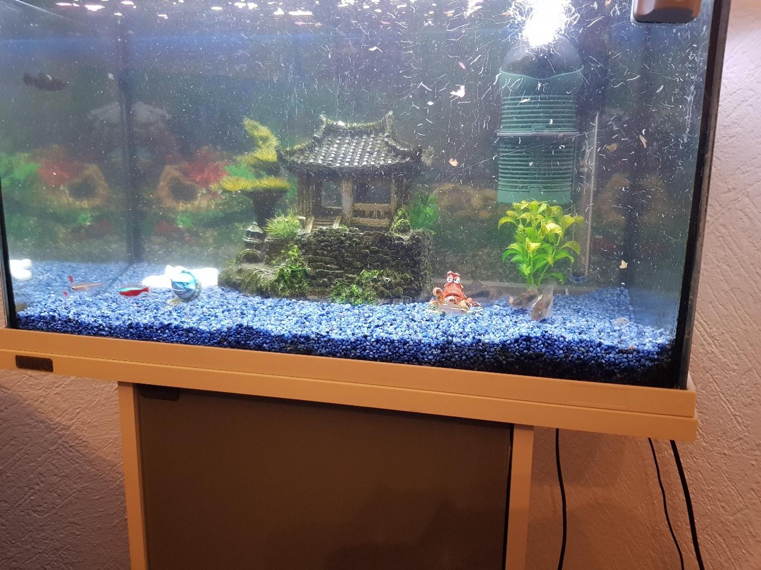 Tetra Aquarium Unterschrank Viel Zubehor In 72800 Eningen Unter