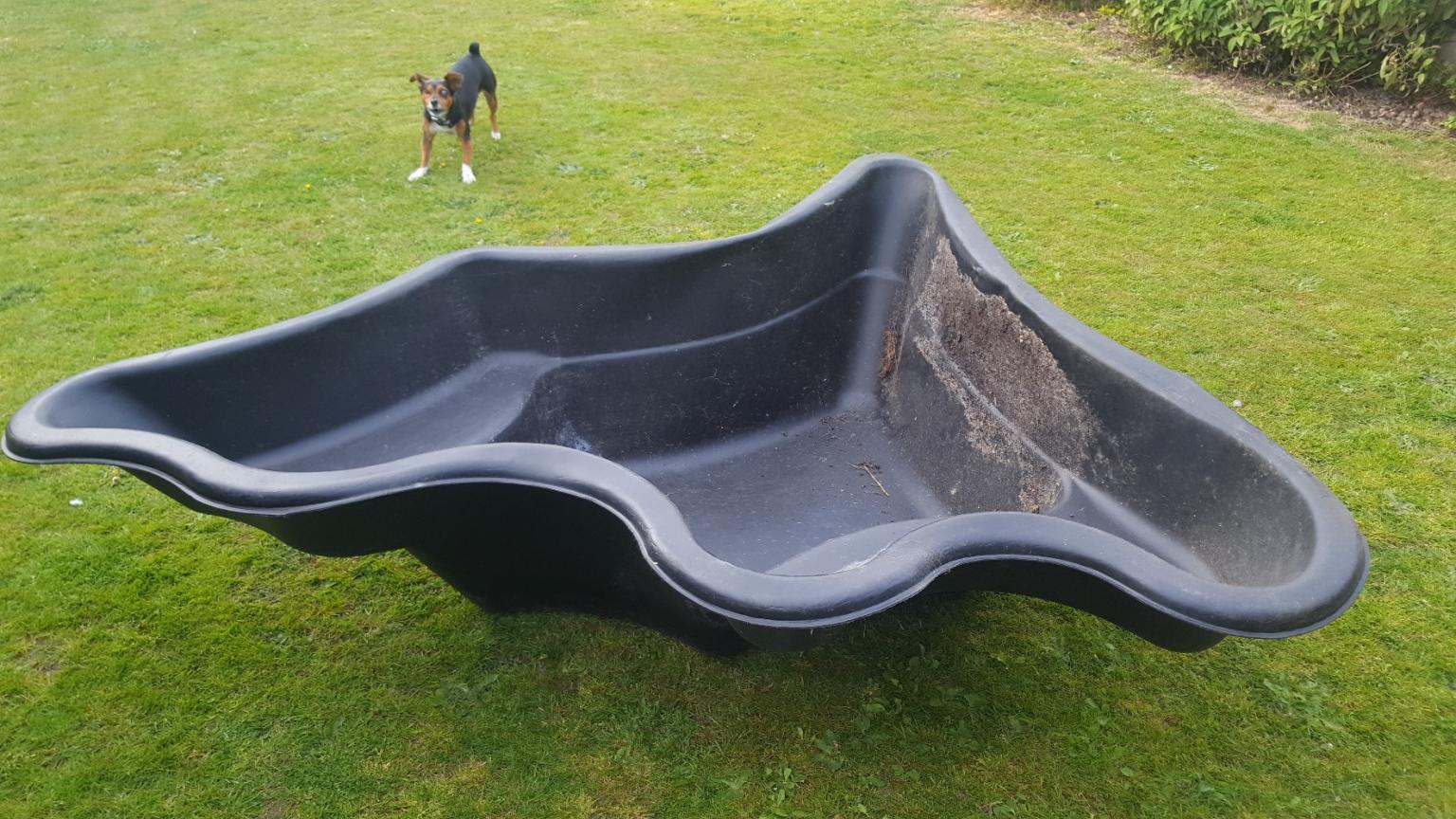 pond liner in London Borough of Bexley for free for sale