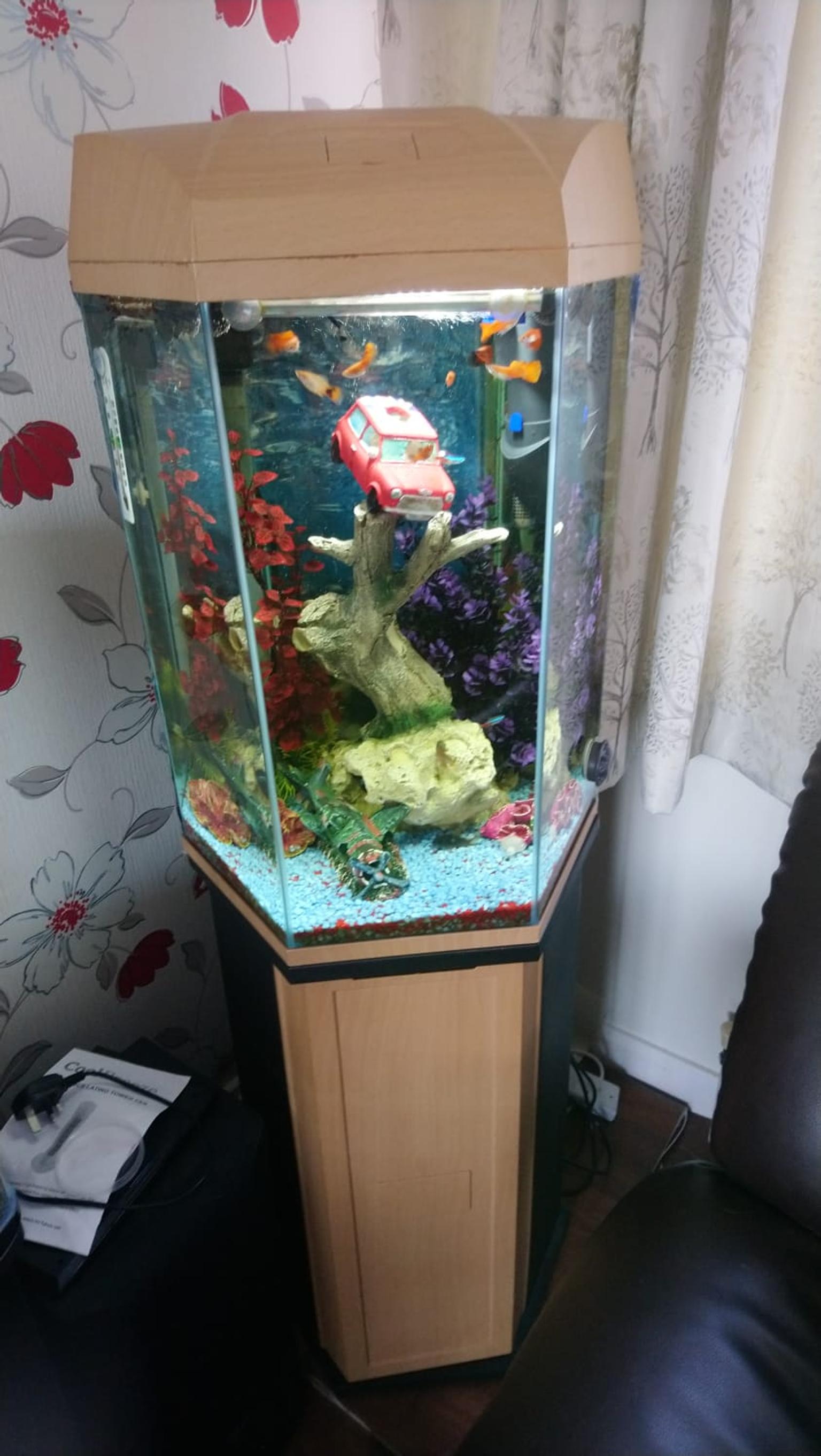 Corner Fish Tank With Stand Home Ideas