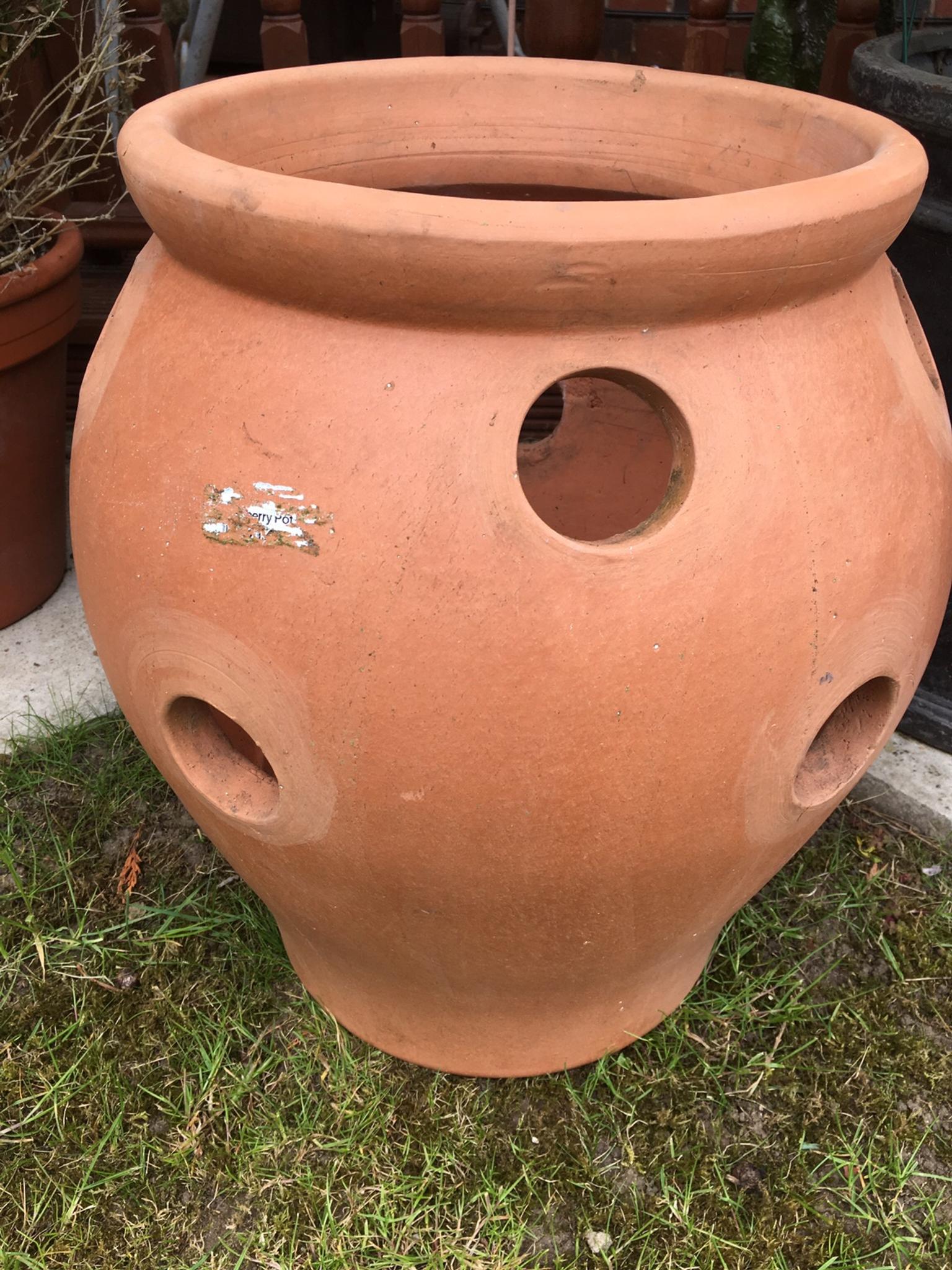 Large new terracotta strawberry planters in LE5 Hall for £20.00 for