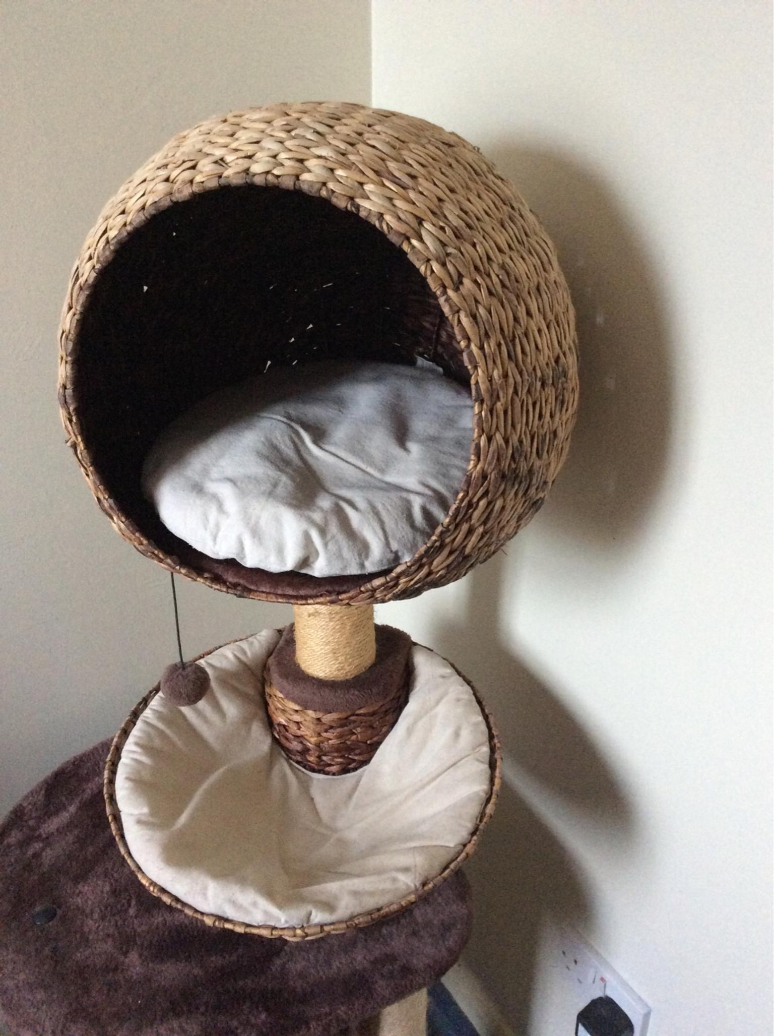 Cat Tree High sleeper in MK41 Renhold for £35.00 for sale Shpock
