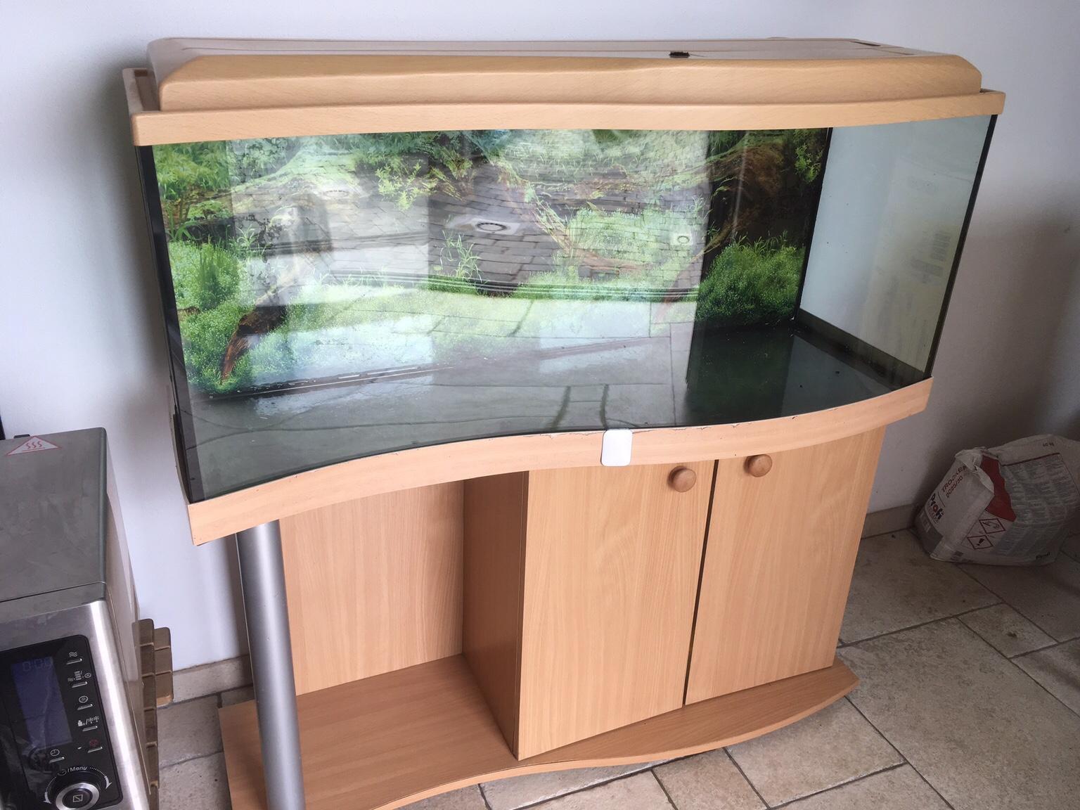 Aquarium in 7031 Sigleß für € 170,00 zum Verkauf Shpock AT