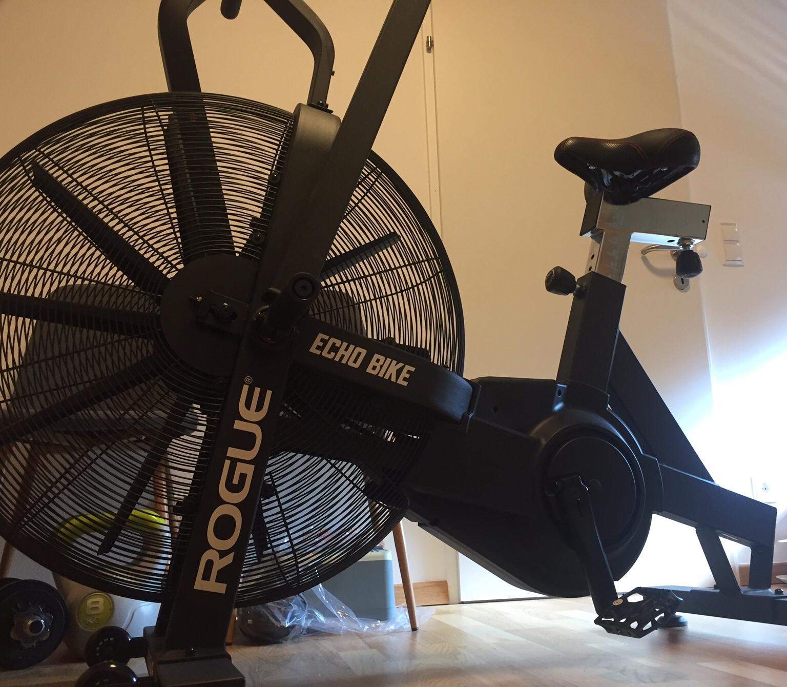 ECHO BIKE rogue in 8230 Hartberg für € 750,00 zum Verkauf Shpock AT