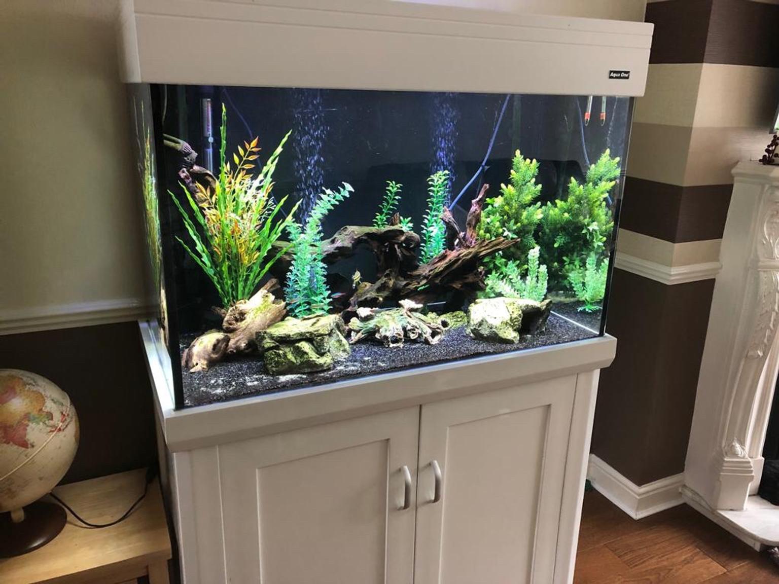 Aqua one Aquarium and fish tank whit in M30