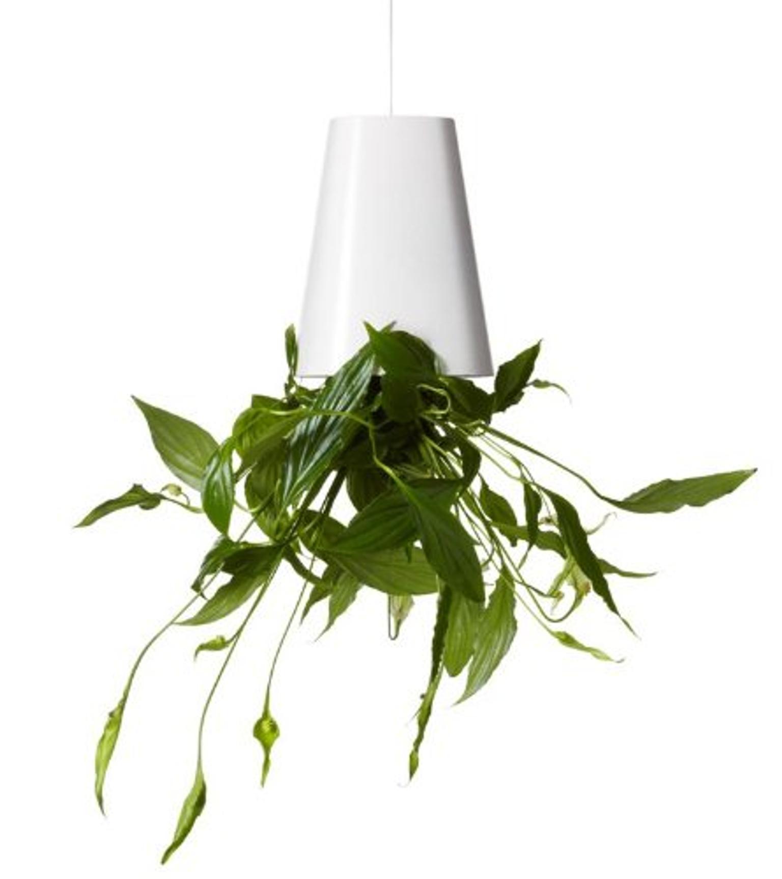 3x Hängende Blumentöpfe "Boskke Sky Planter" in 80796 Munich für 15,00