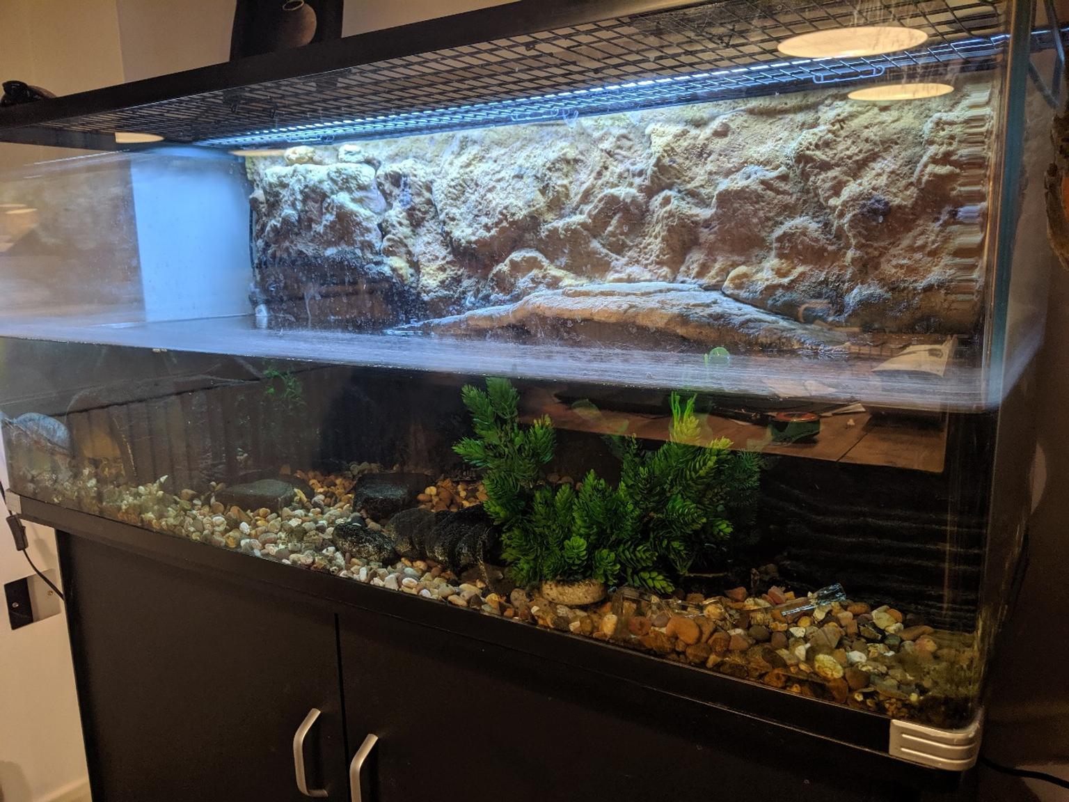 Reptile One Pro 120 Turtle Tank FULL SET UP in London