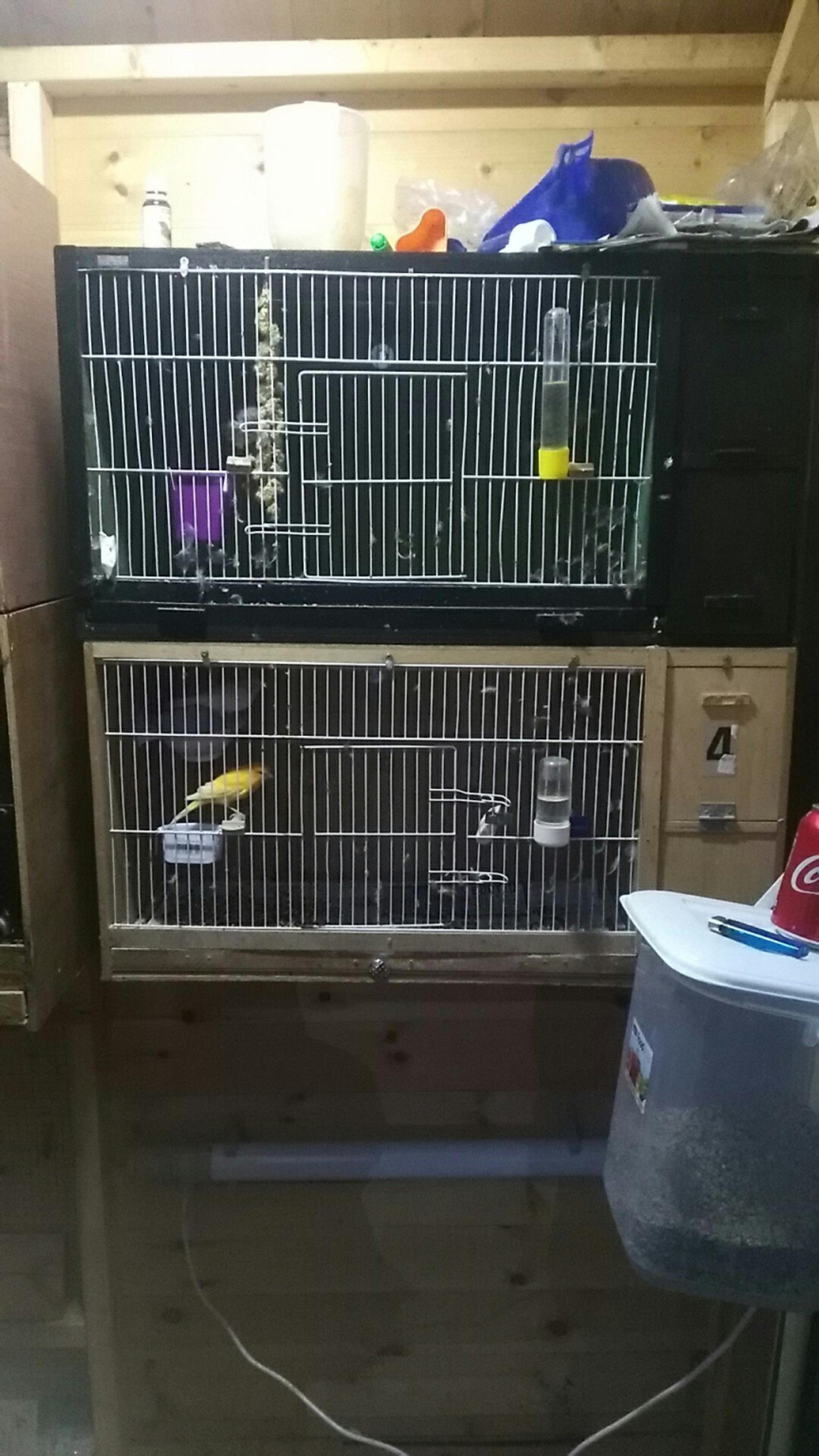 canary breeding cages in B63 Dudley for £10.00 for sale Shpock