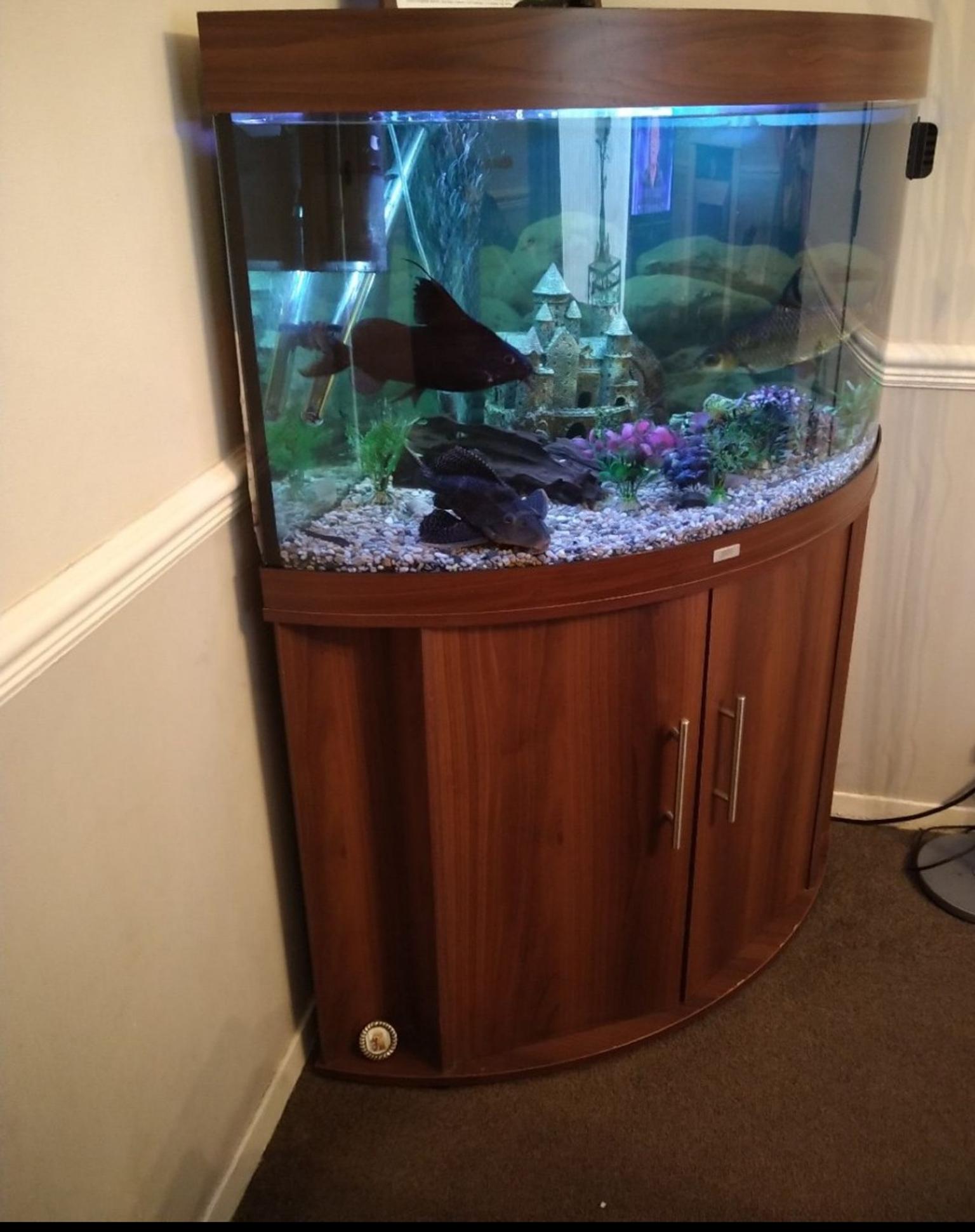 Juwel 190 corner aquarium with full set up. in GU11 Rushmoor for £125
