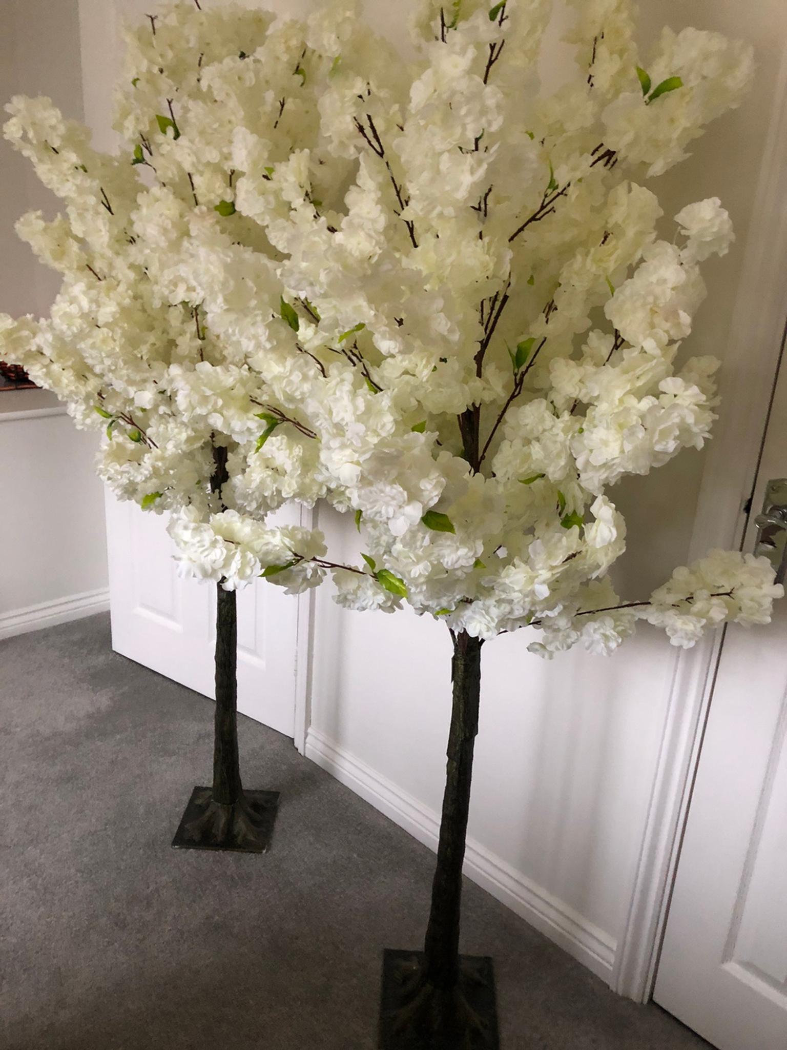 X2 6ft / 180cm Blossom Trees. Wedding decor in WV14 Dudley for £140.00