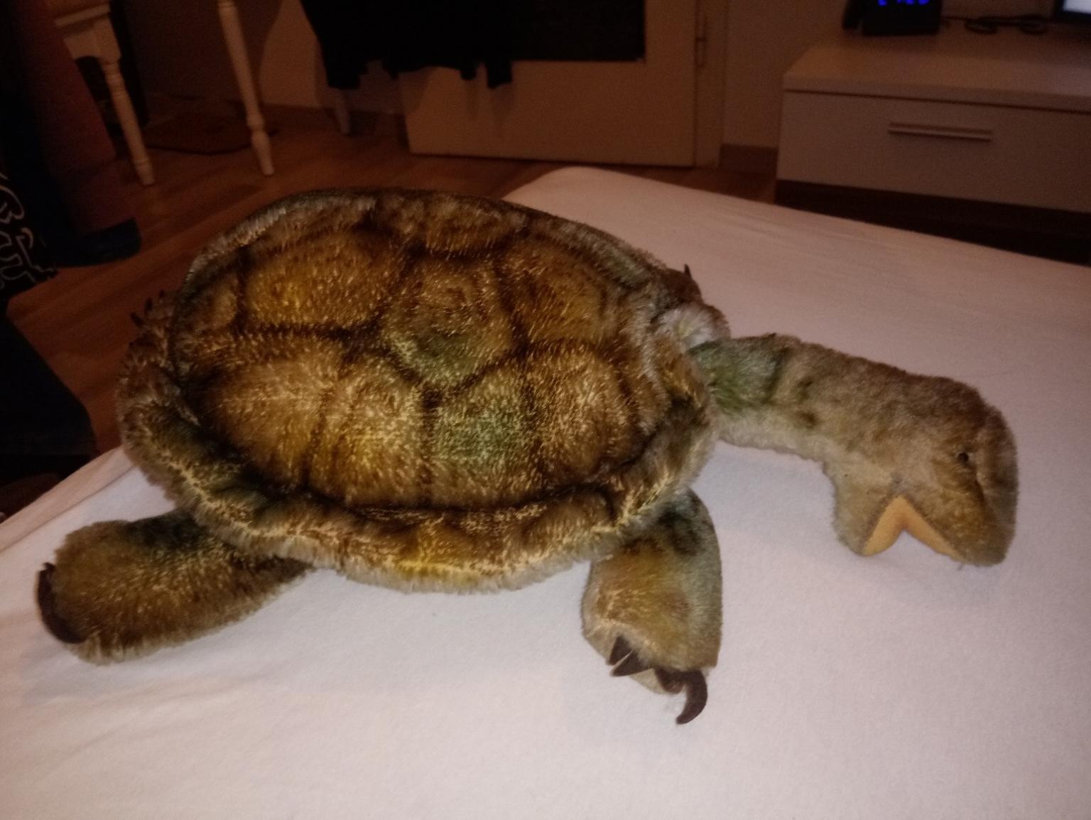 Steiff Schildkröte alt in 2340 Gemeinde Mödling für € 25