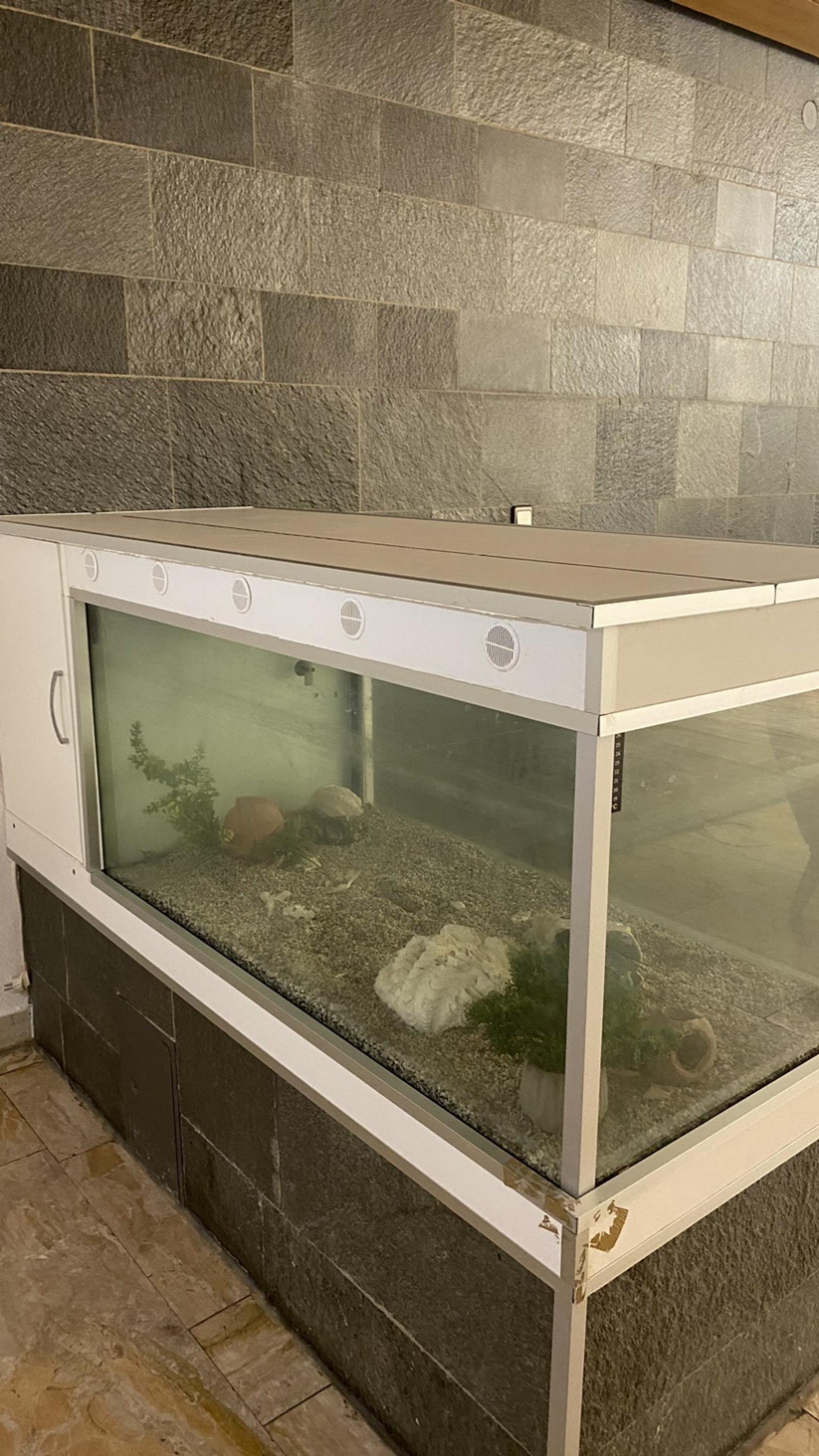 Aquarium in 67551 Worms für 200,00 € zum Verkauf Shpock DE