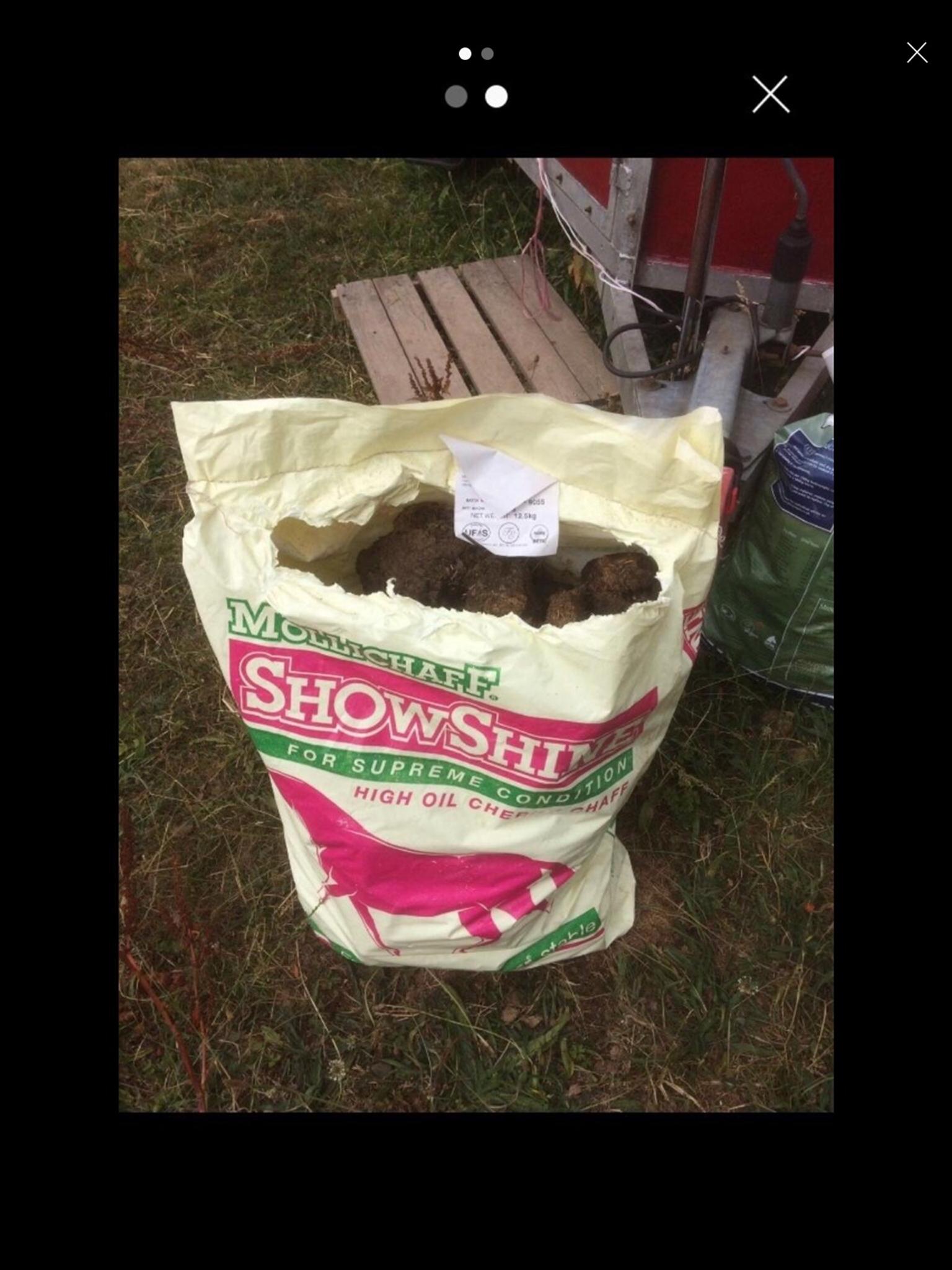 Horse manure delivered in B63 Dudley for £20.00 for sale Shpock