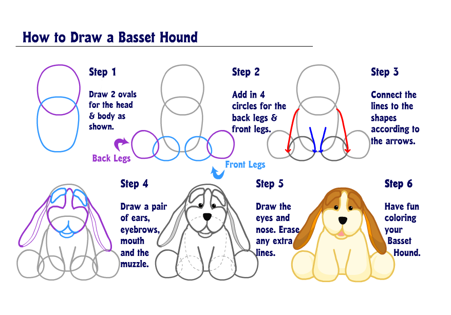 Learn how to Draw a Basset Hound! WKN Webkinz Newz