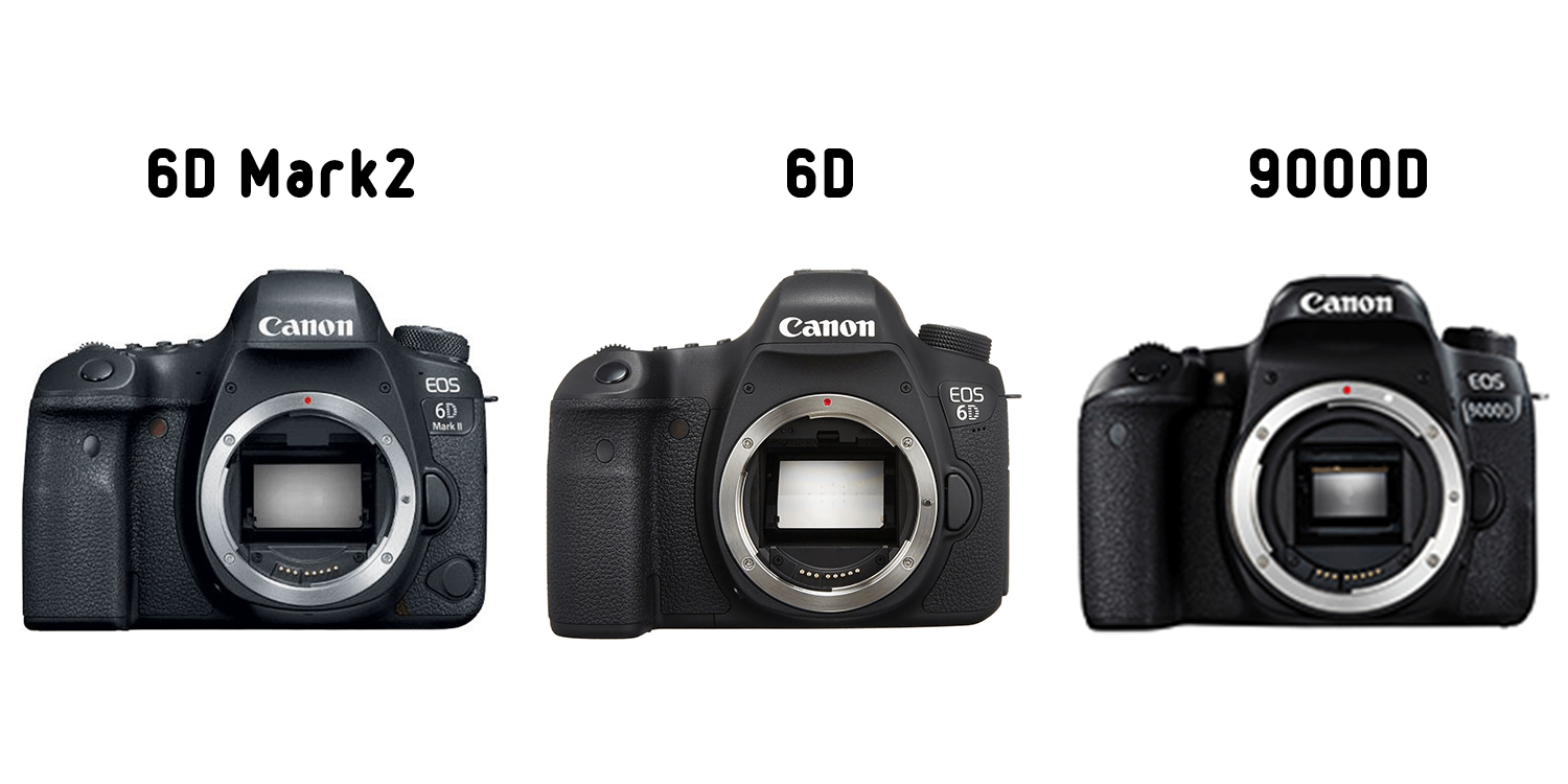 傾向があります 喉が渇いた ガチョウ canon 一眼 レフ 6d mark2 arutasu.jp
